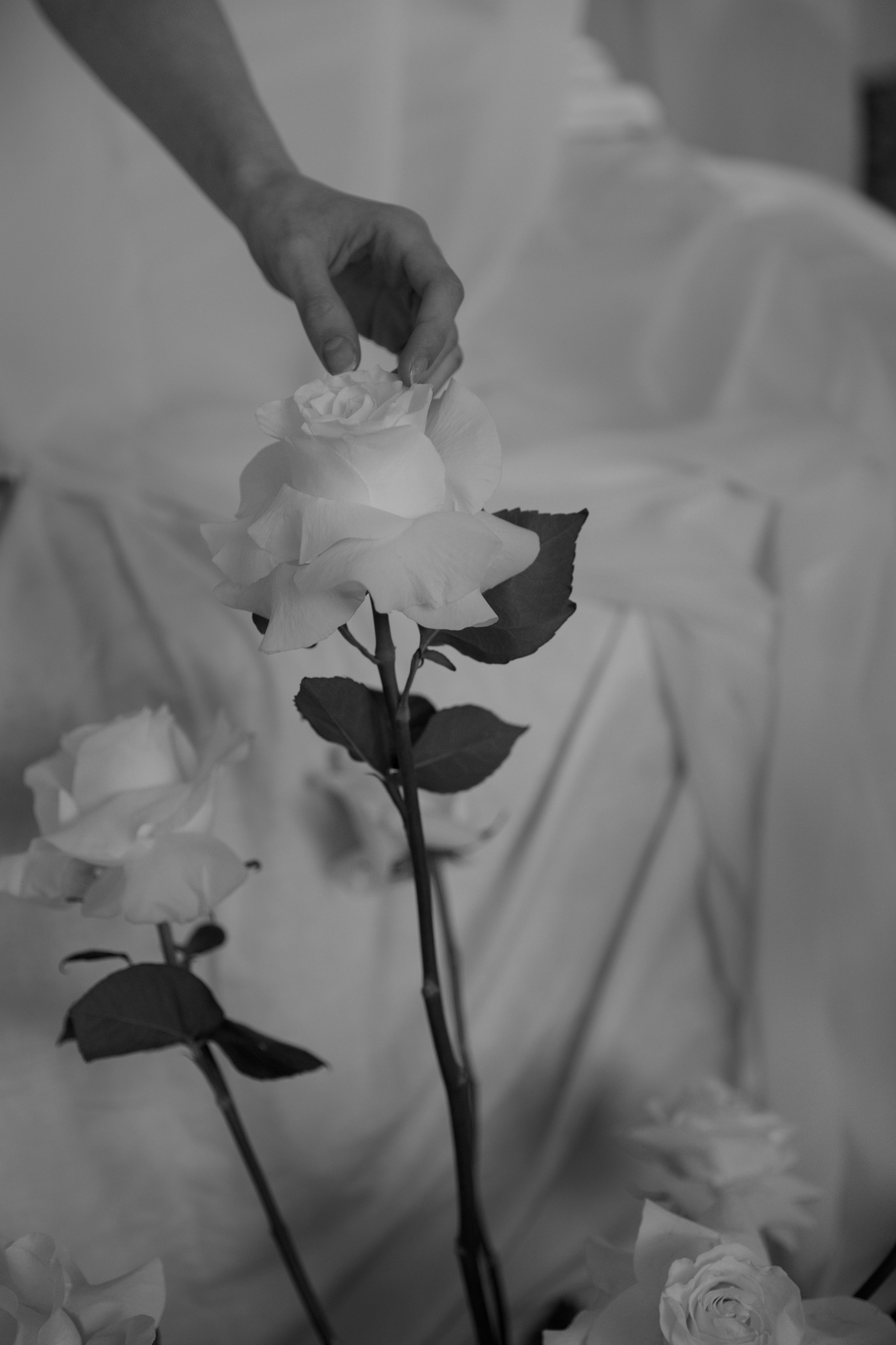 Анастасия и Кирилл. Свадебный фотограф Кристина Винокурова