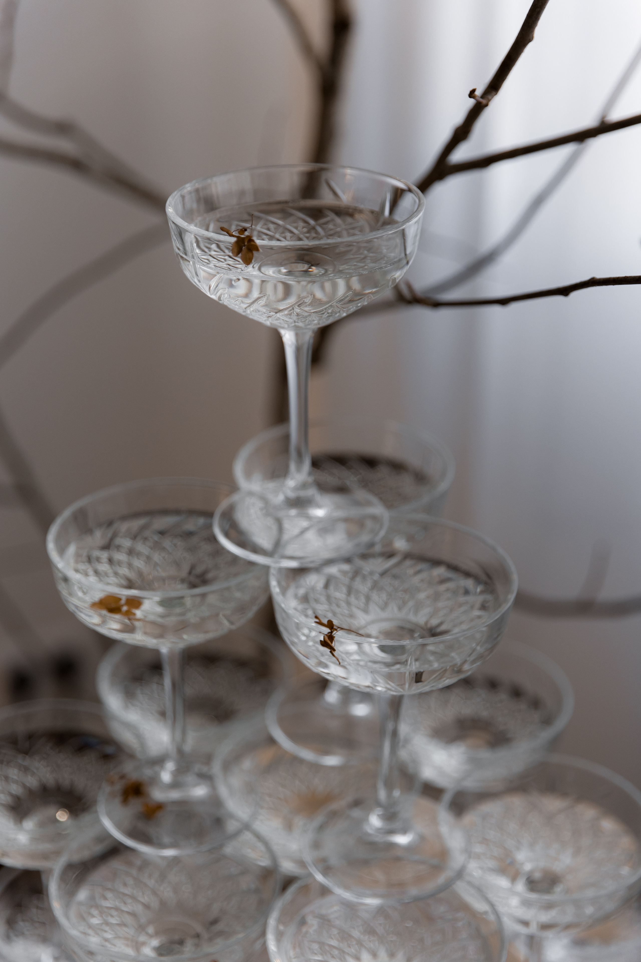 Анастасия и Кирилл. Свадебный фотограф Кристина Винокурова