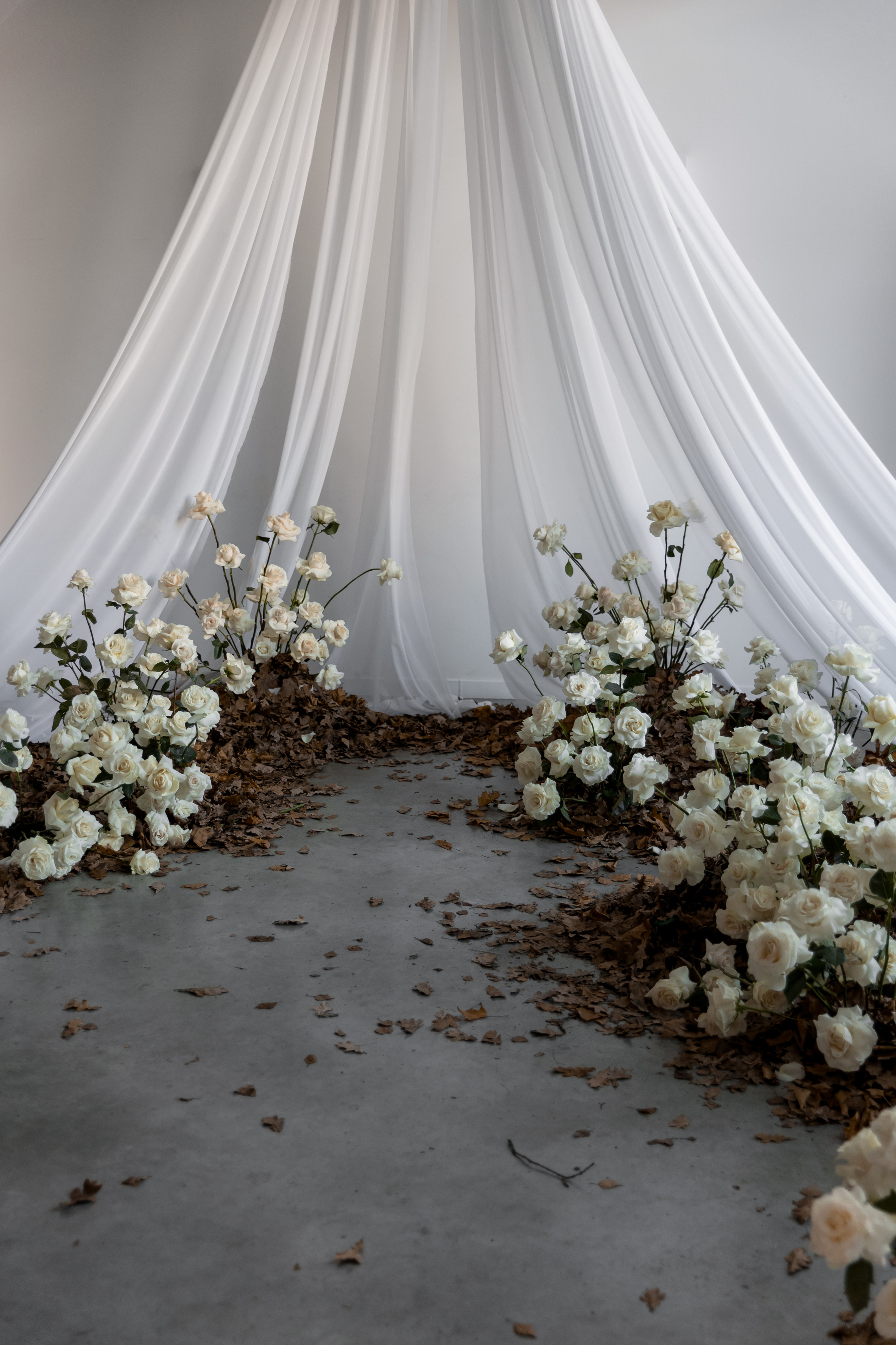 Анастасия и Кирилл. Свадебный фотограф Кристина Винокурова