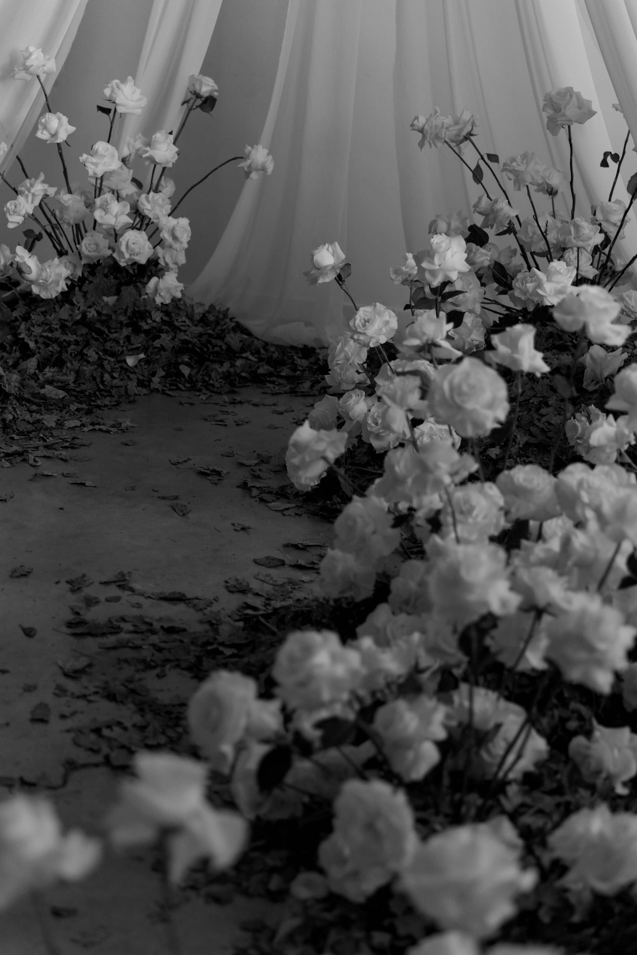 Анастасия и Кирилл. Свадебный фотограф Кристина Винокурова