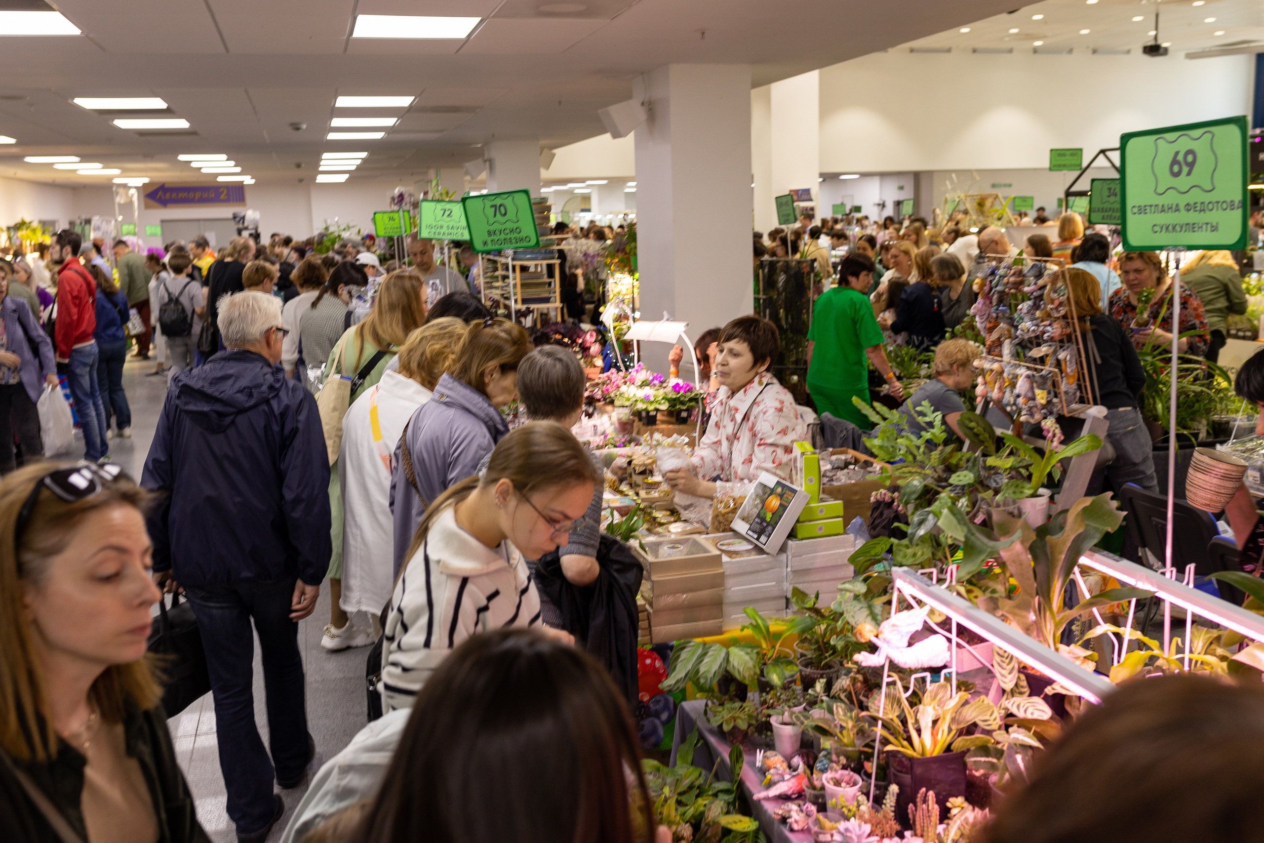 Орхидиум июнь 2024. Александра Куликова фотограф, Москва