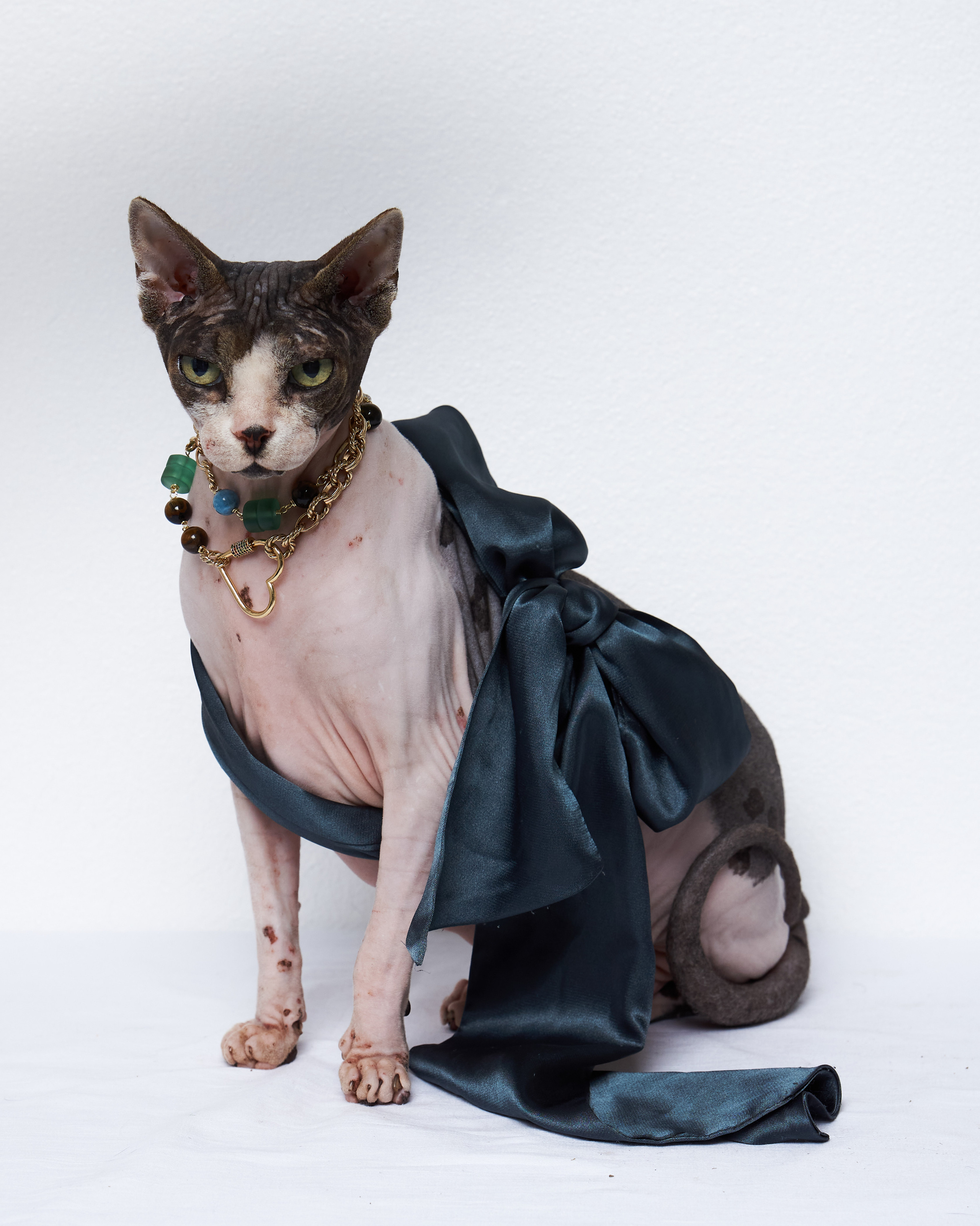 Cats. Фотограф для брендов одежды в Москве Diana Polupanenko