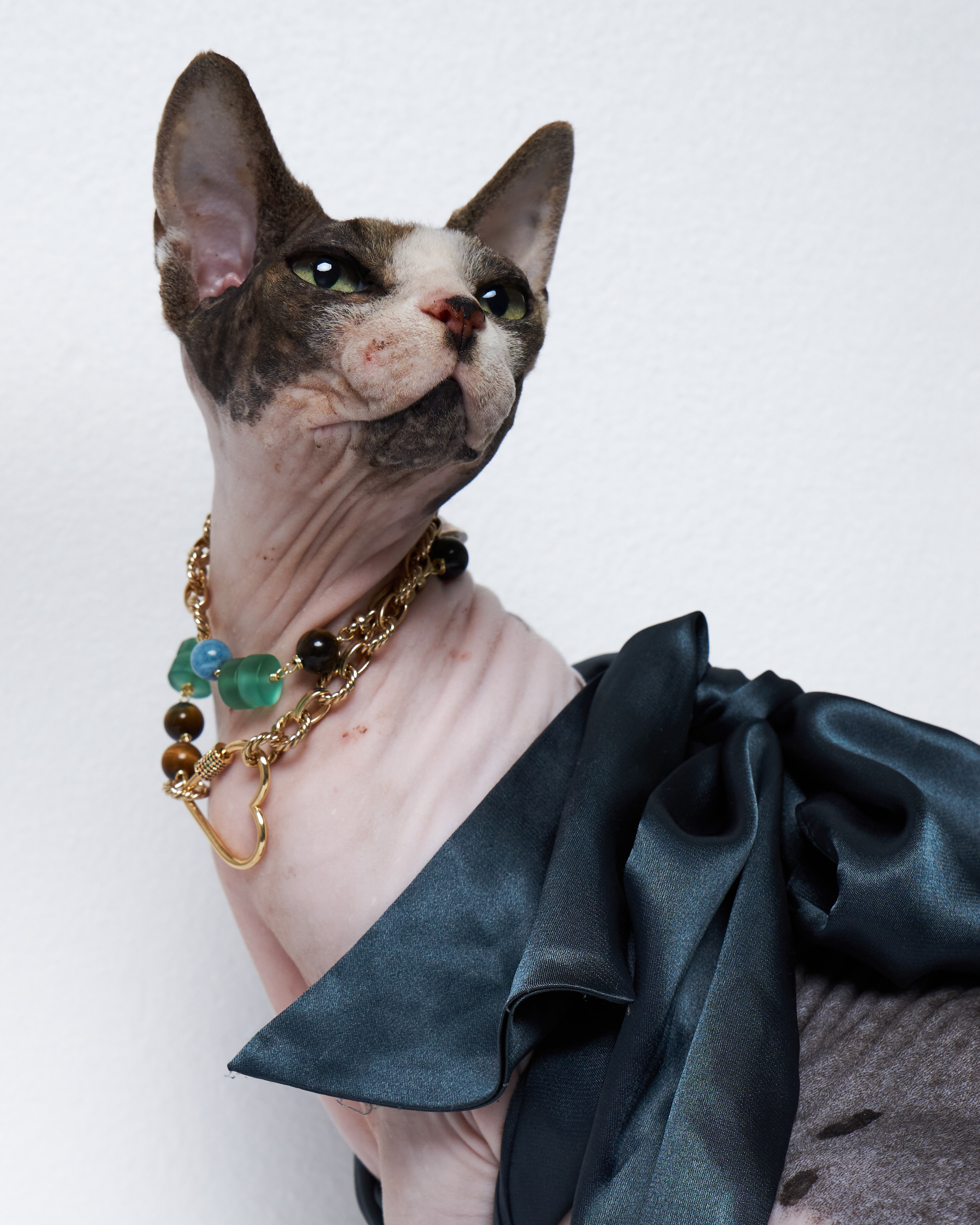 Cats. Фотограф для брендов одежды в Москве Diana Polupanenko