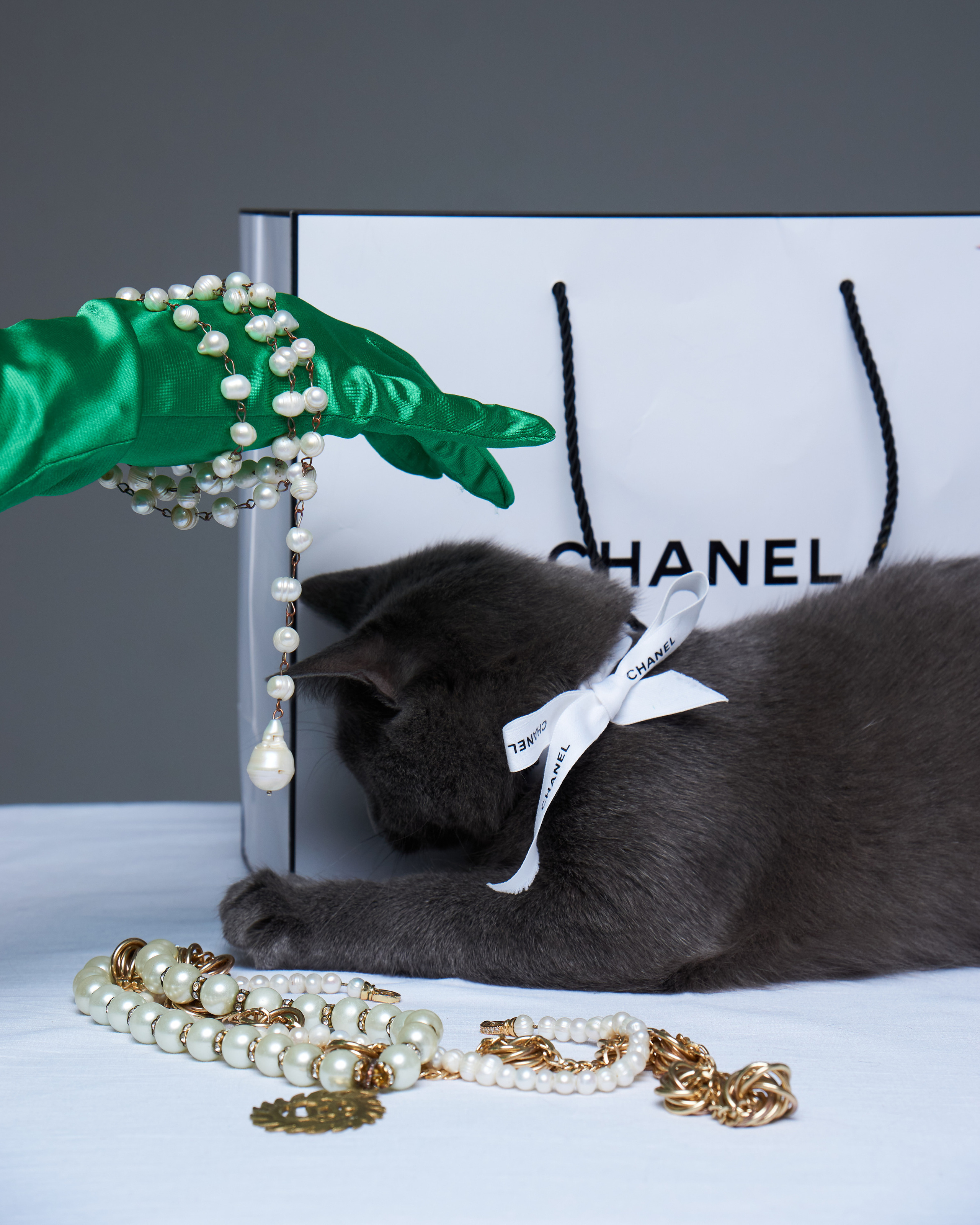 Cats. Фотограф для брендов одежды в Москве Diana Polupanenko