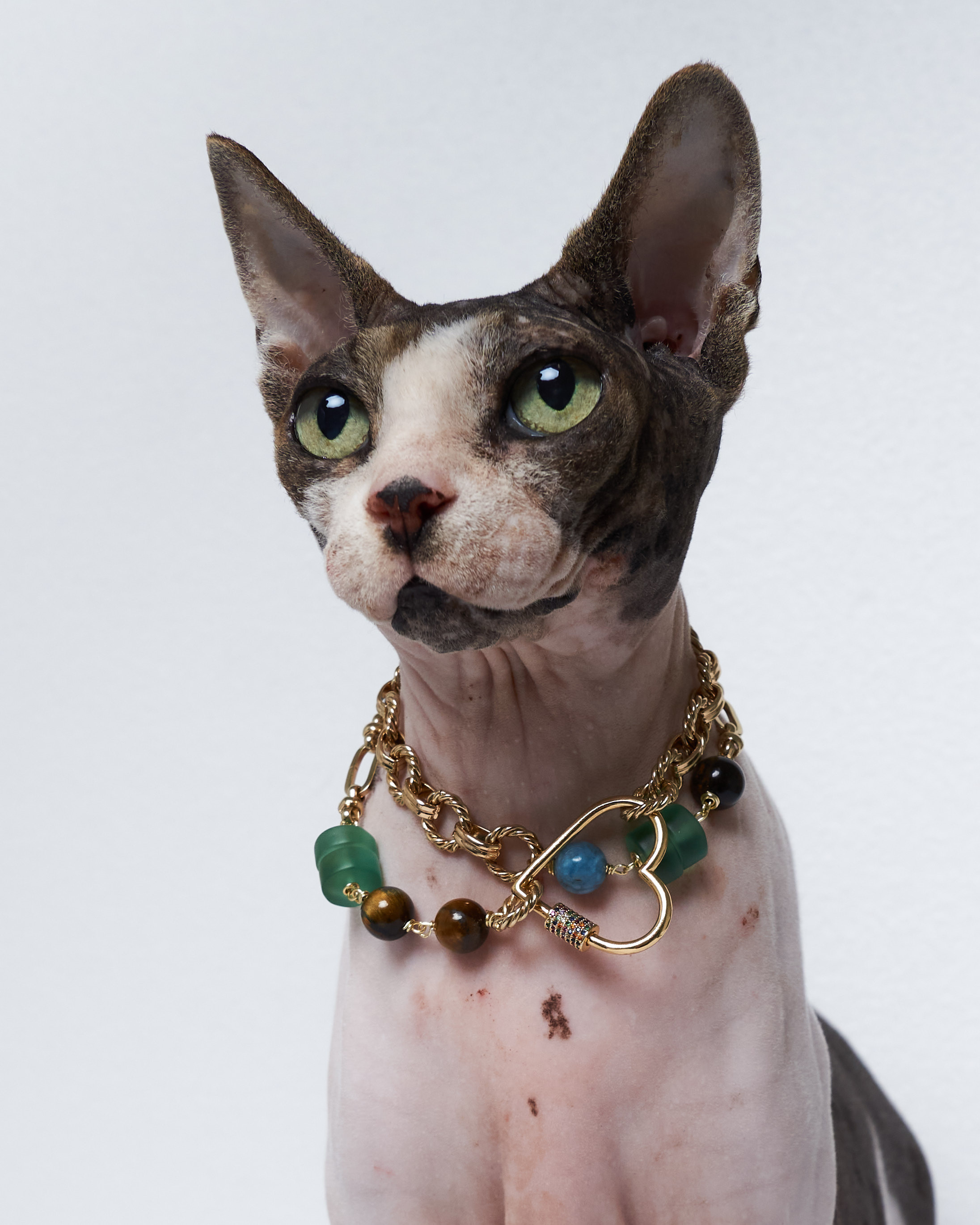 Cats. Фотограф для брендов одежды в Москве Diana Polupanenko