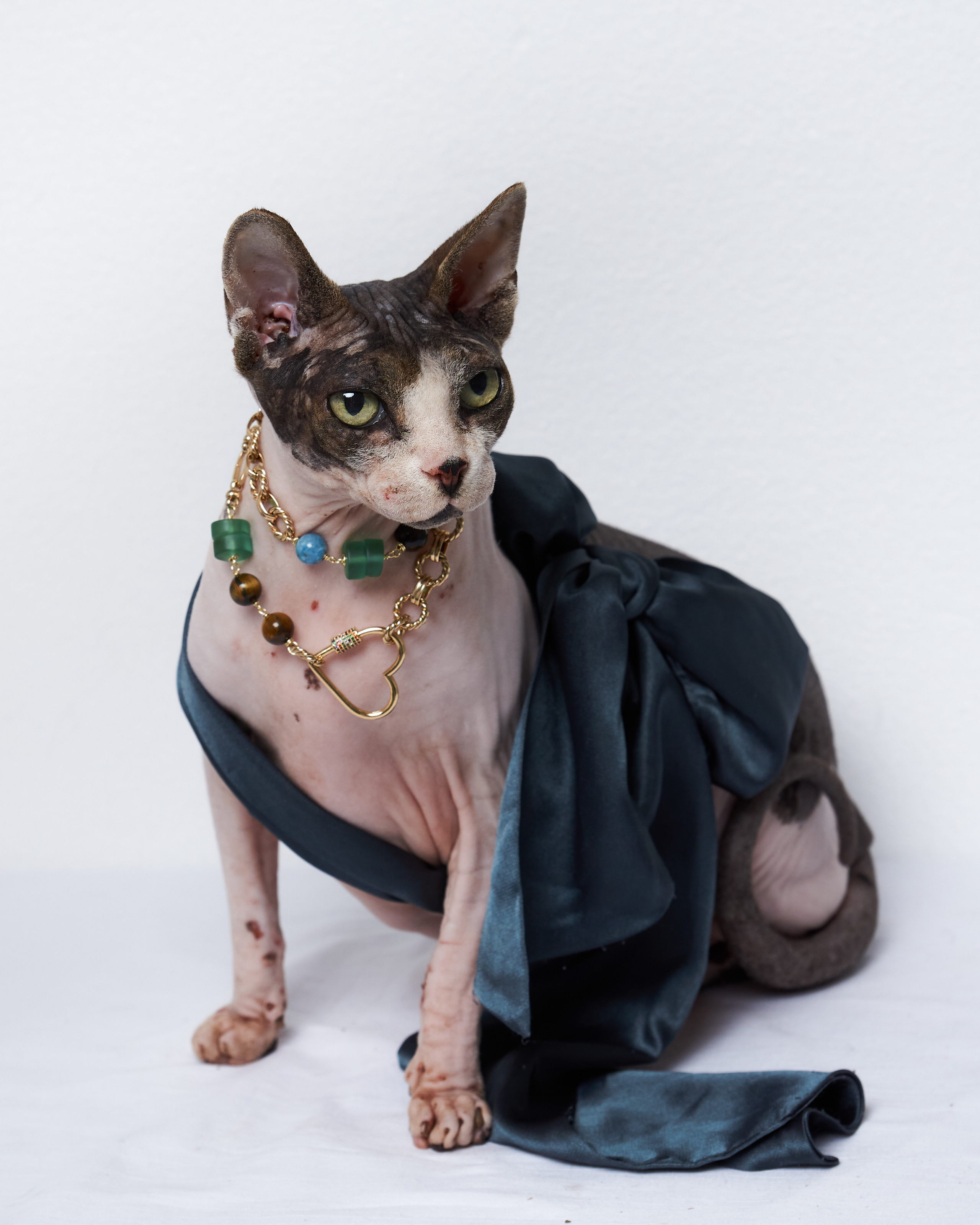 Cats. Фотограф для брендов одежды в Москве Diana Polupanenko