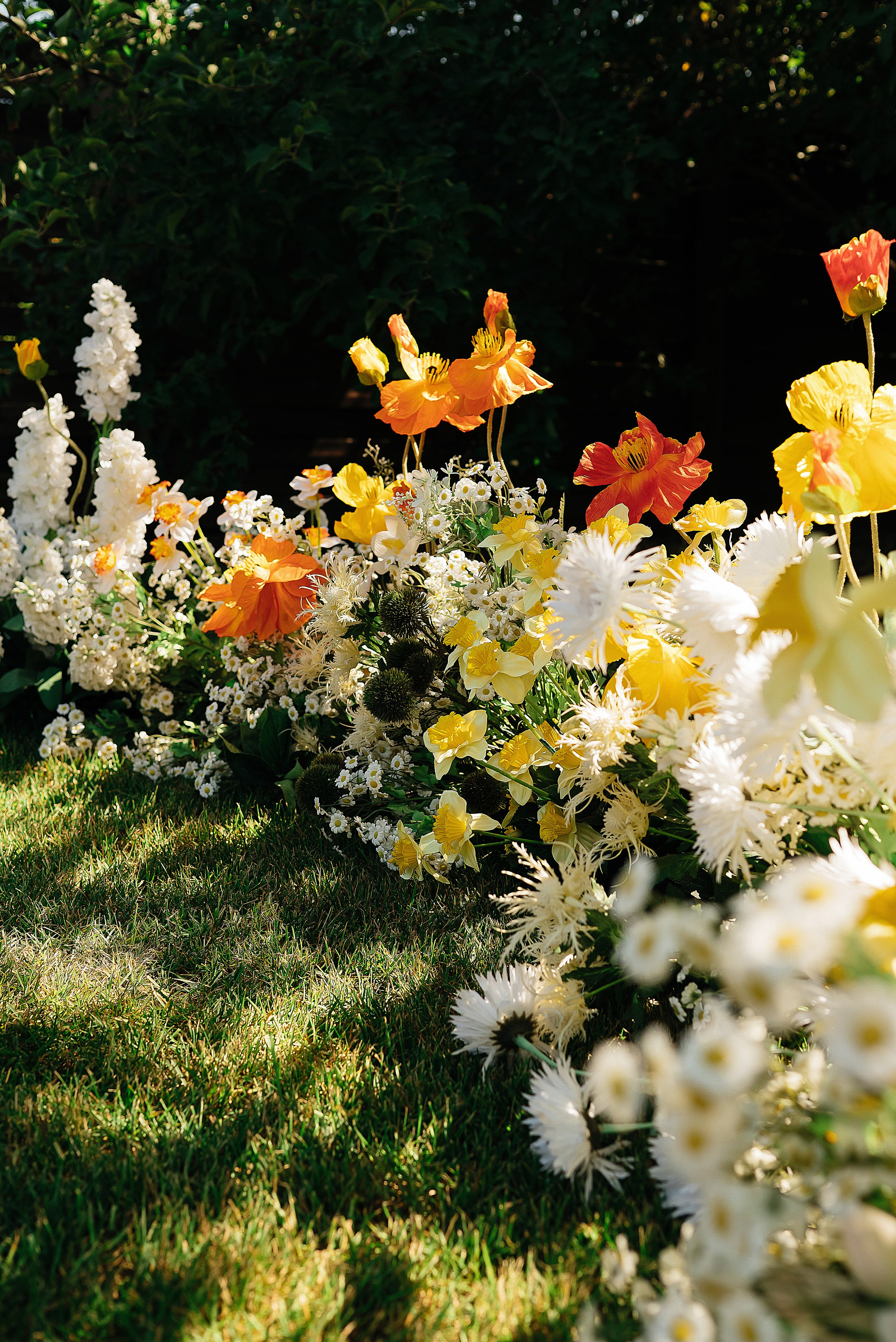 Дима и Настя. Свадебный и семейный фотограф в Ростове-на-Дону Алина Астахова