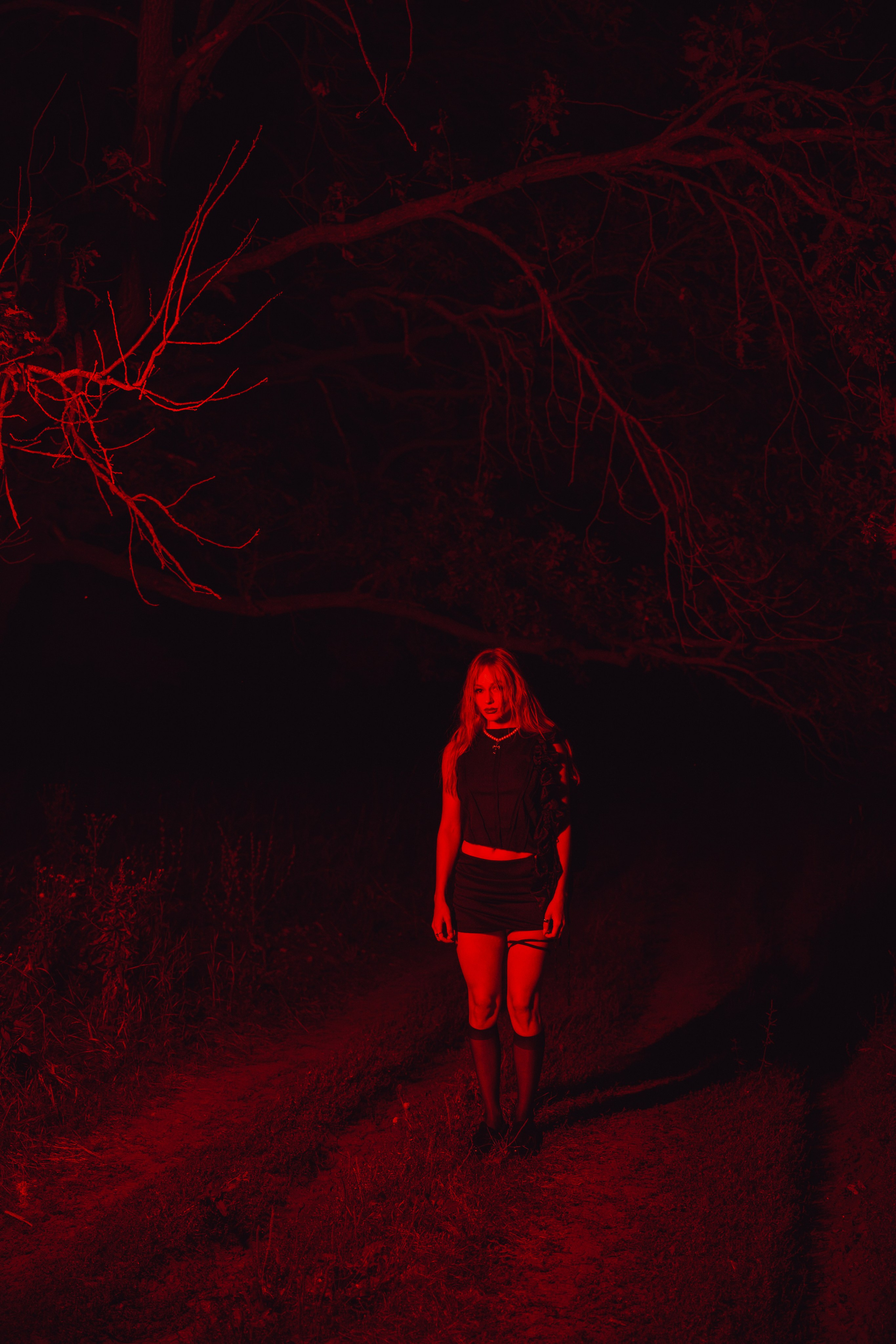 Ночной стиль дубов. Свадебный и репортажный фотограф Павел Царьков