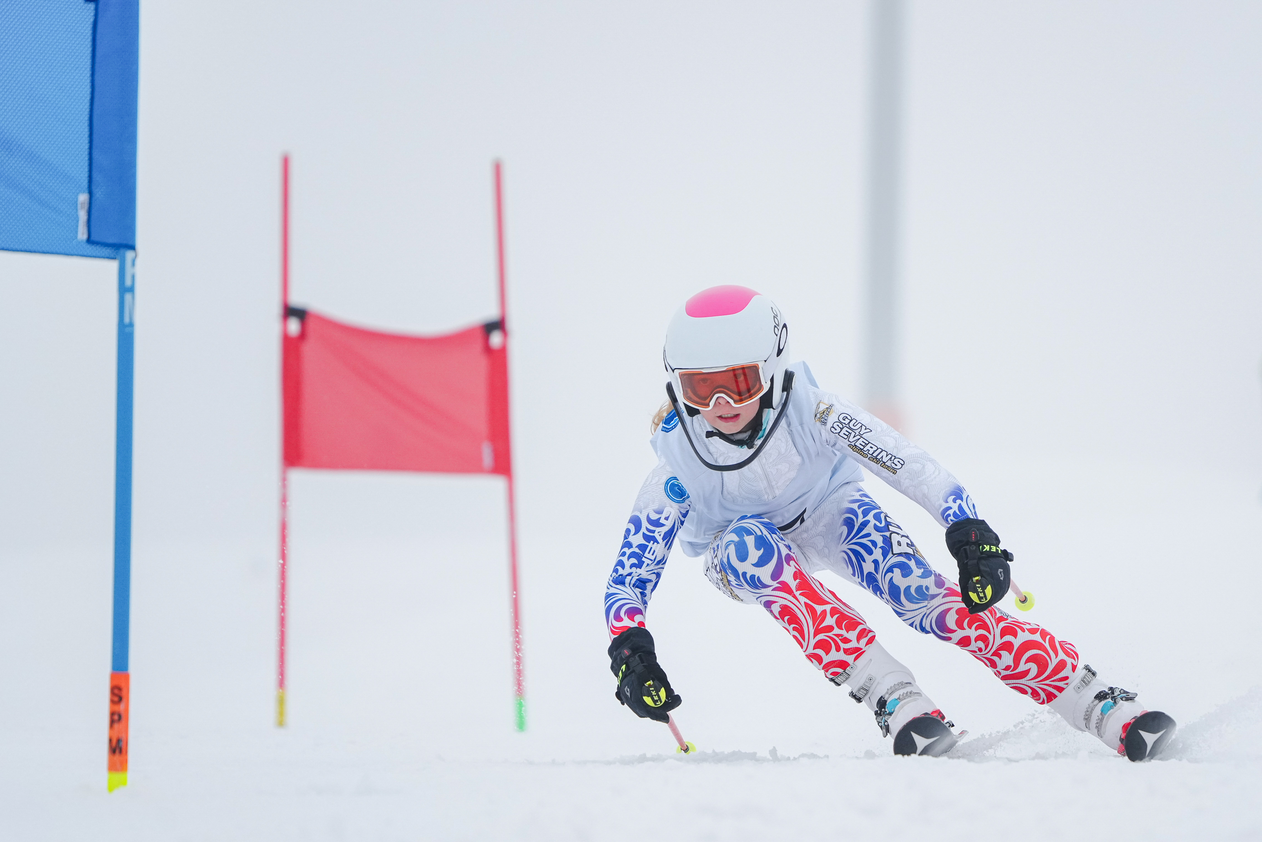 GS (Giant Slalom) - Слалом-гигант. Соревнования по горнолыжному спорту. Московская область, Шуколово