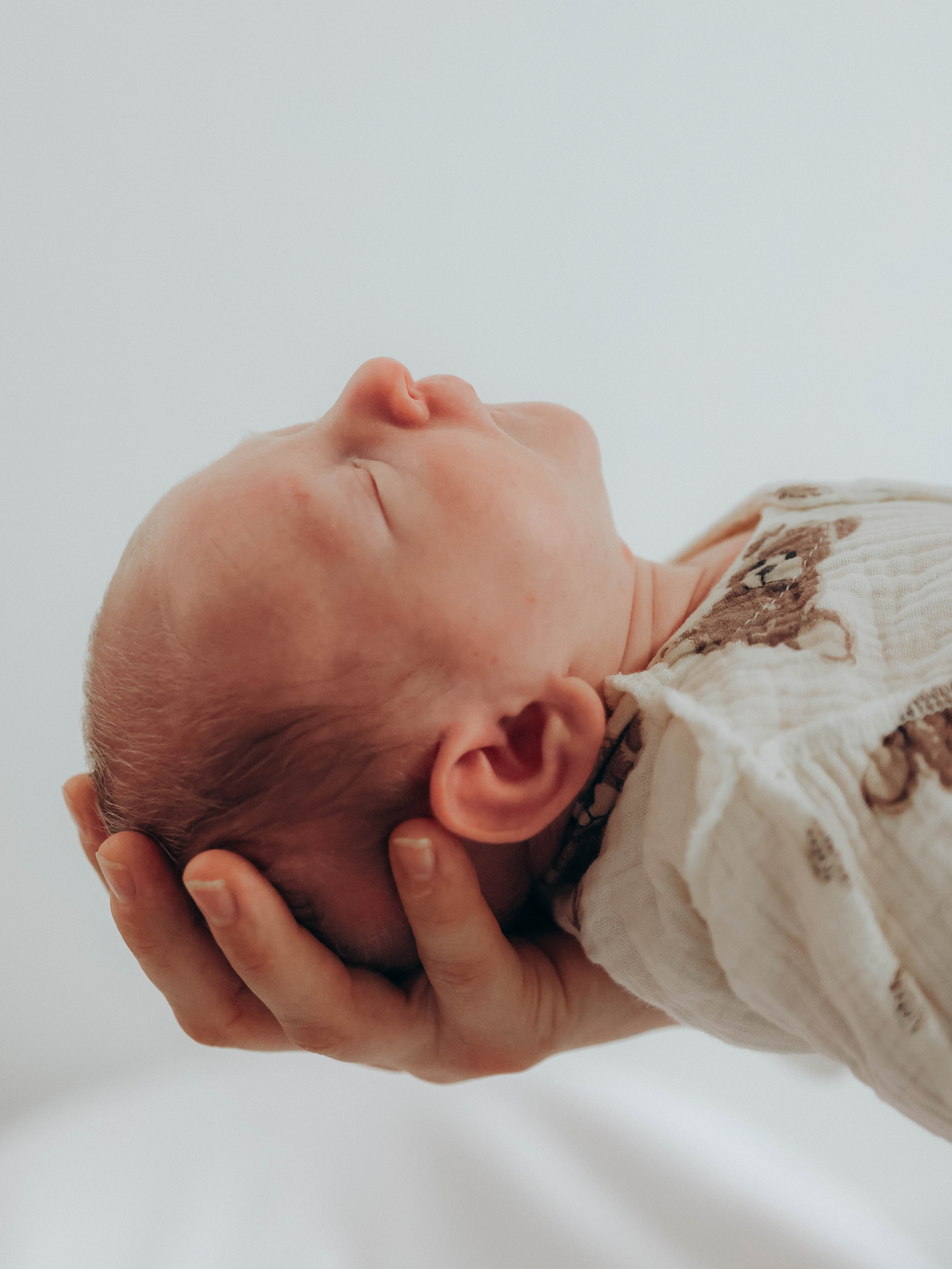 Любовь и котики. Мультифотограф Динара Ахмедзянова