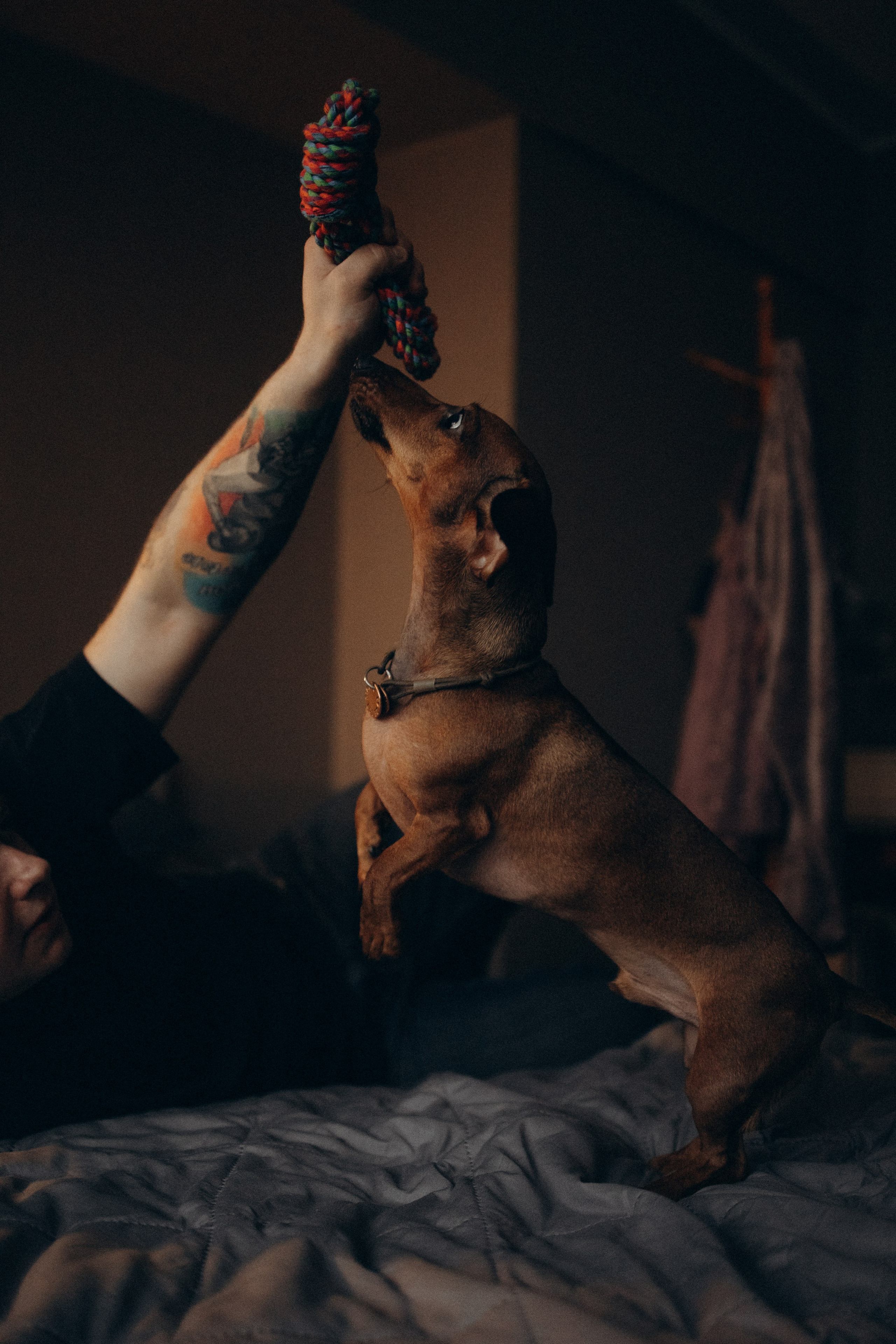 Маша и ее семья. Фотораф — анималист Мария Шистка