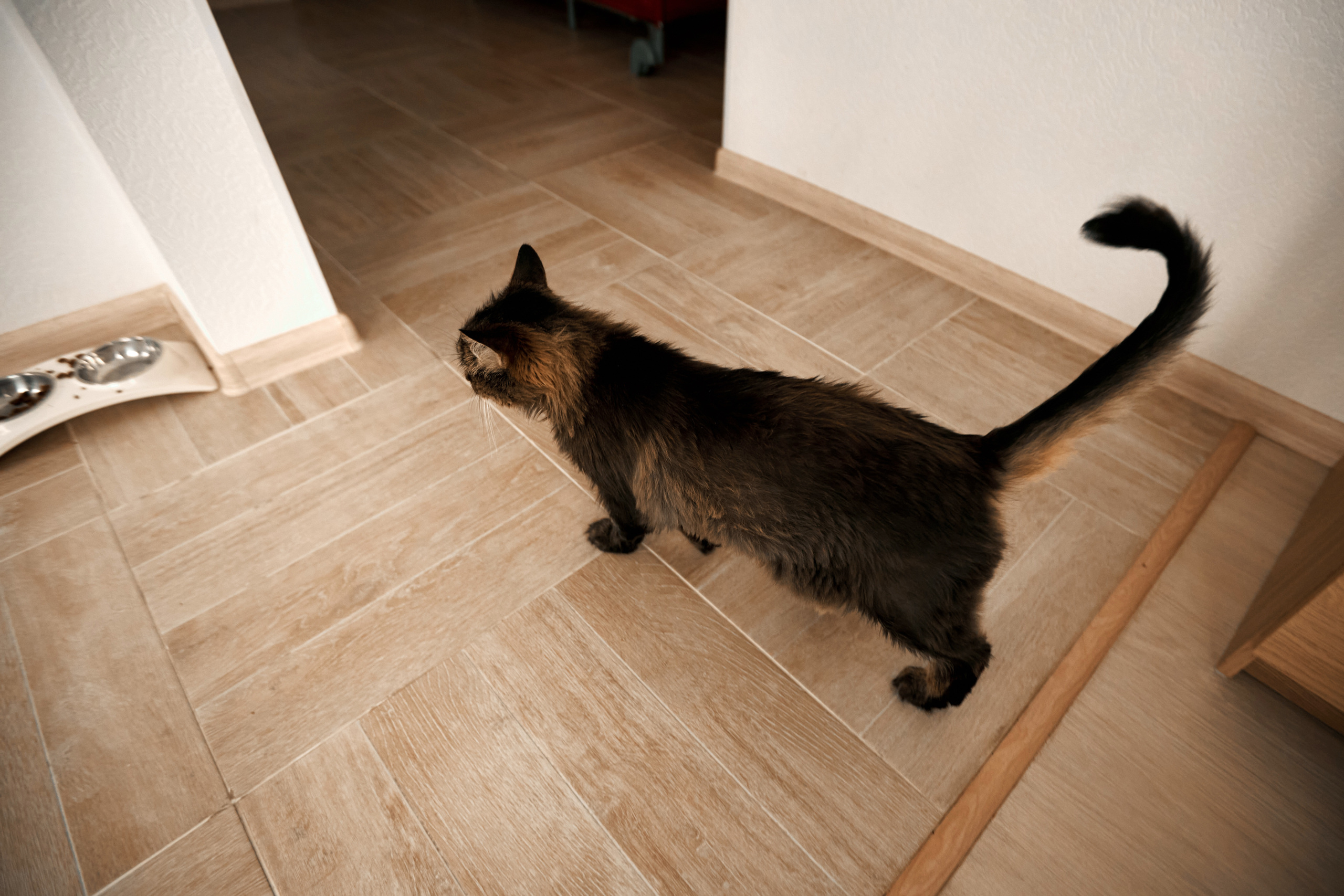 Peterfilm.ru - Анна, Сергей и Даня. Семейный фотограф в Санкт-Петербур