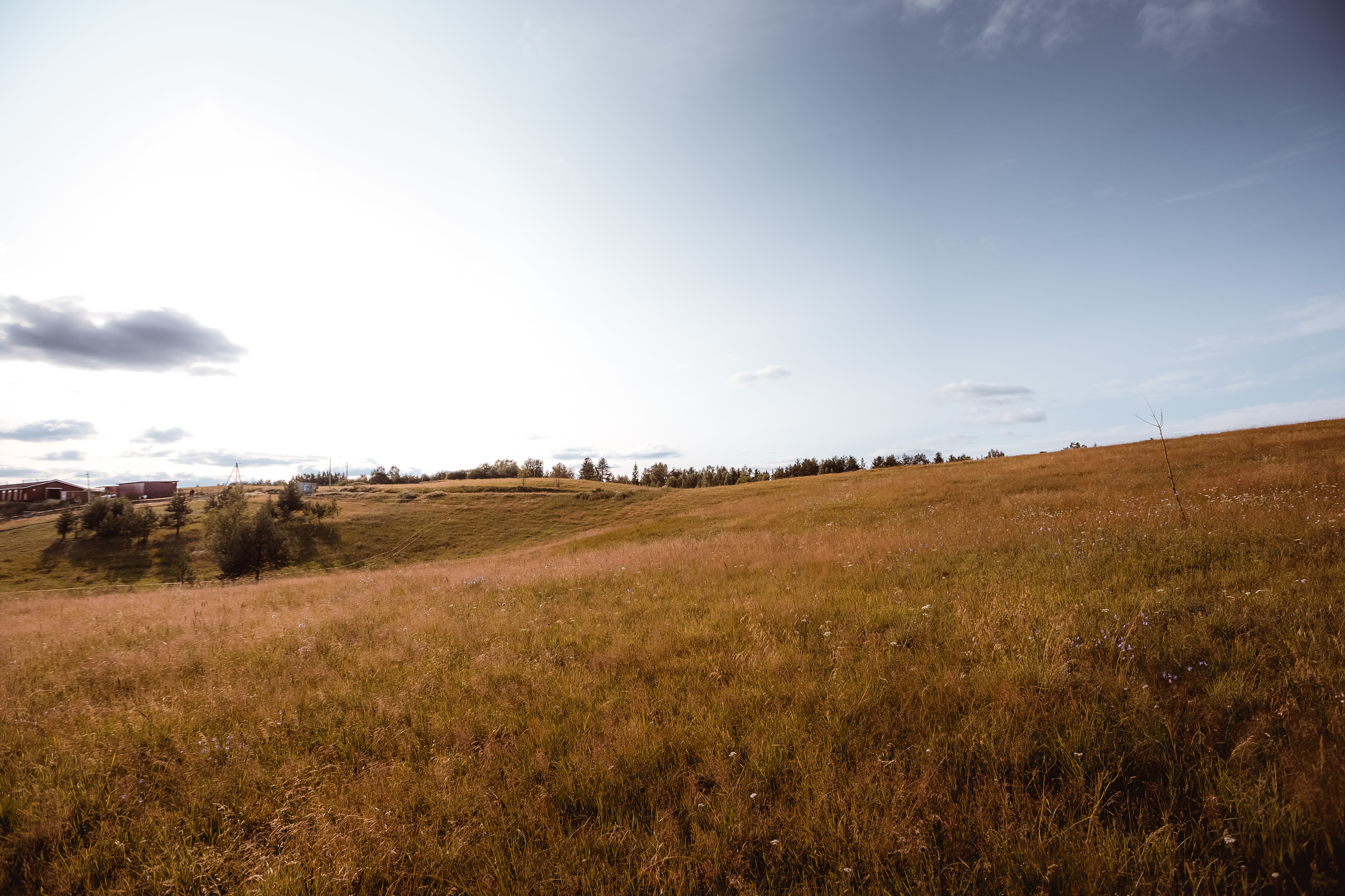 Peterfilm.ru -  Свадебная серия Анны и Сергея. Блог фотографа Петра Ми