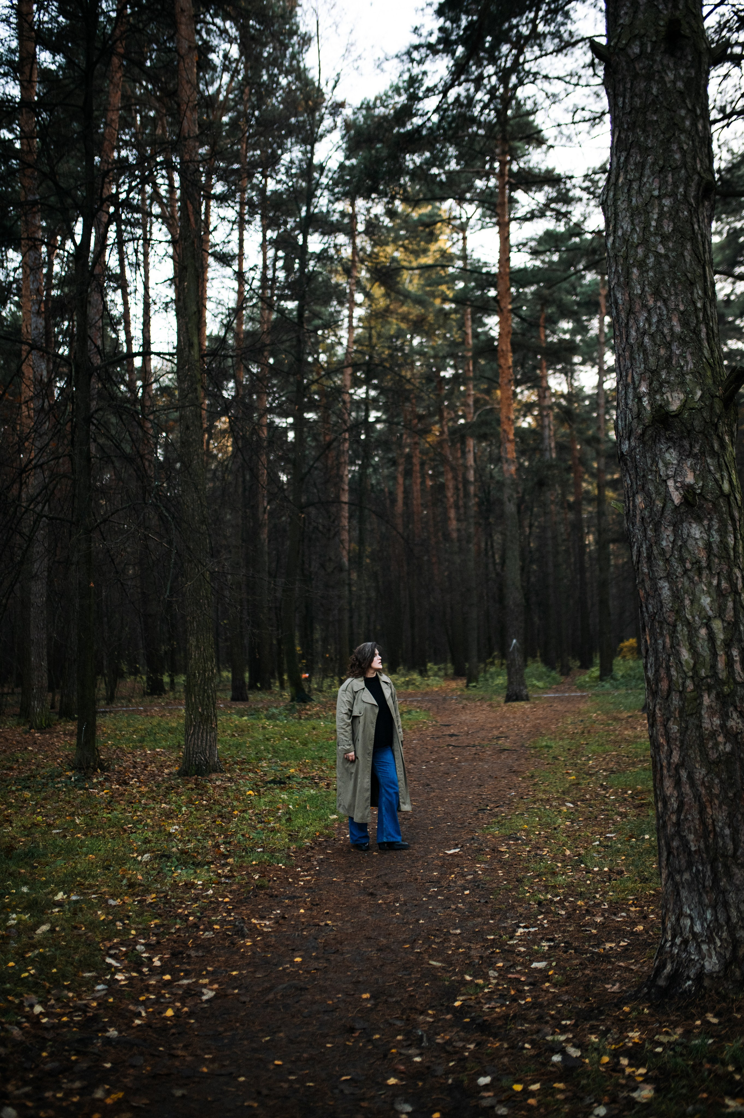 Лес говорит с тобой. Фотограф анималист в Москве Ольга Агушева