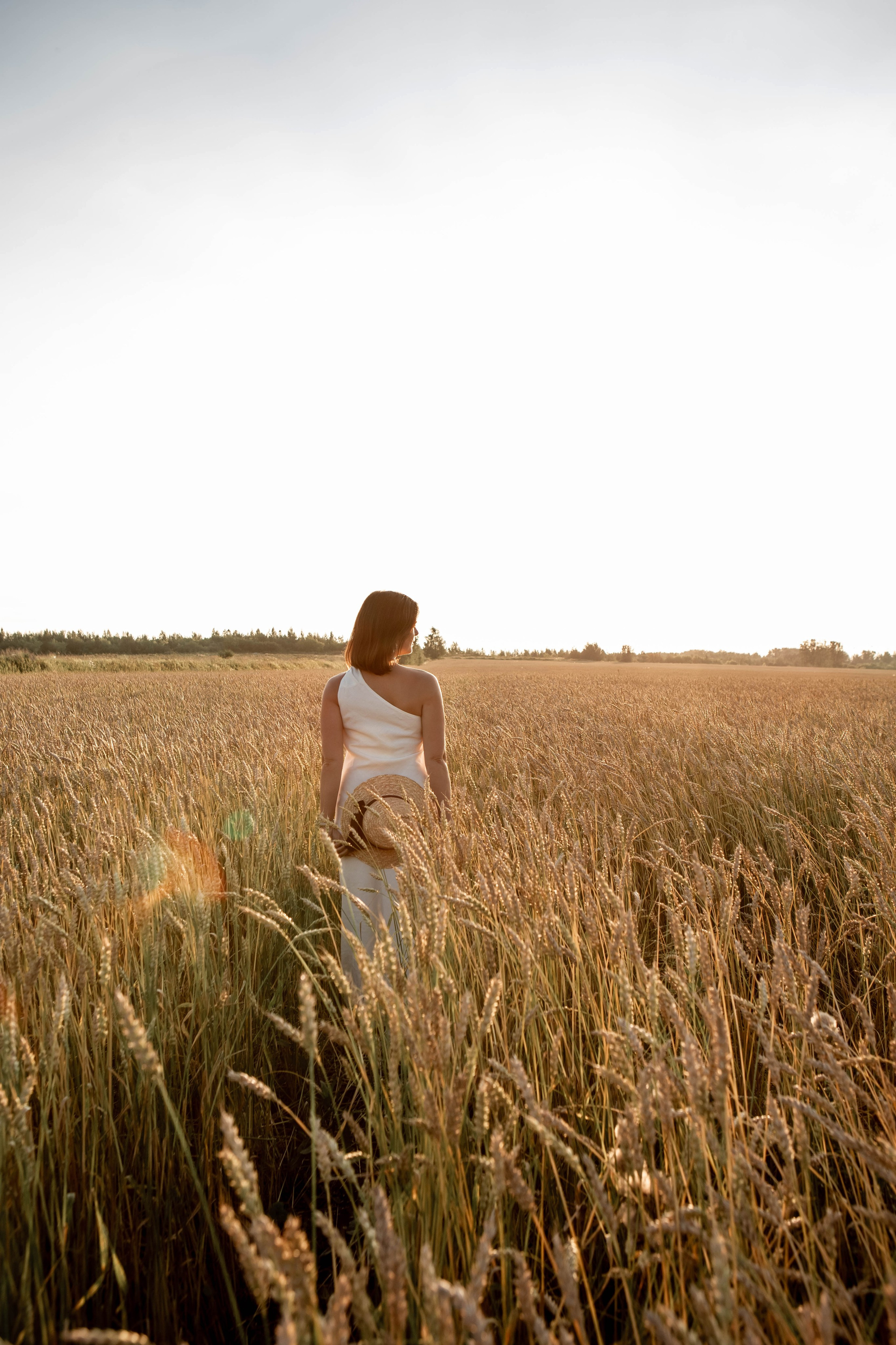 Пшеница на закате. Фотограф Екатерина Голицына