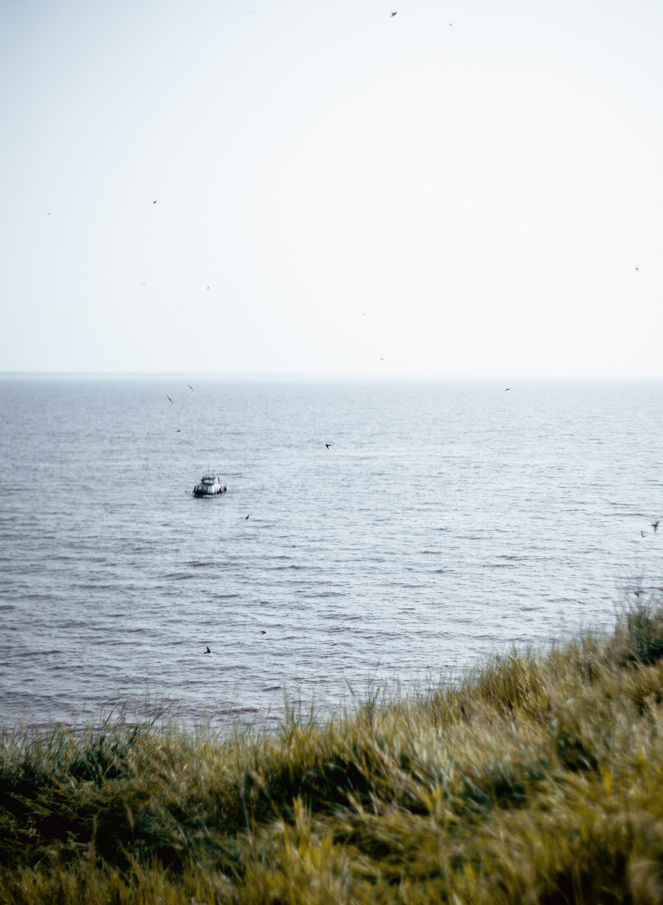 Wallpapers. Фотограф Казань