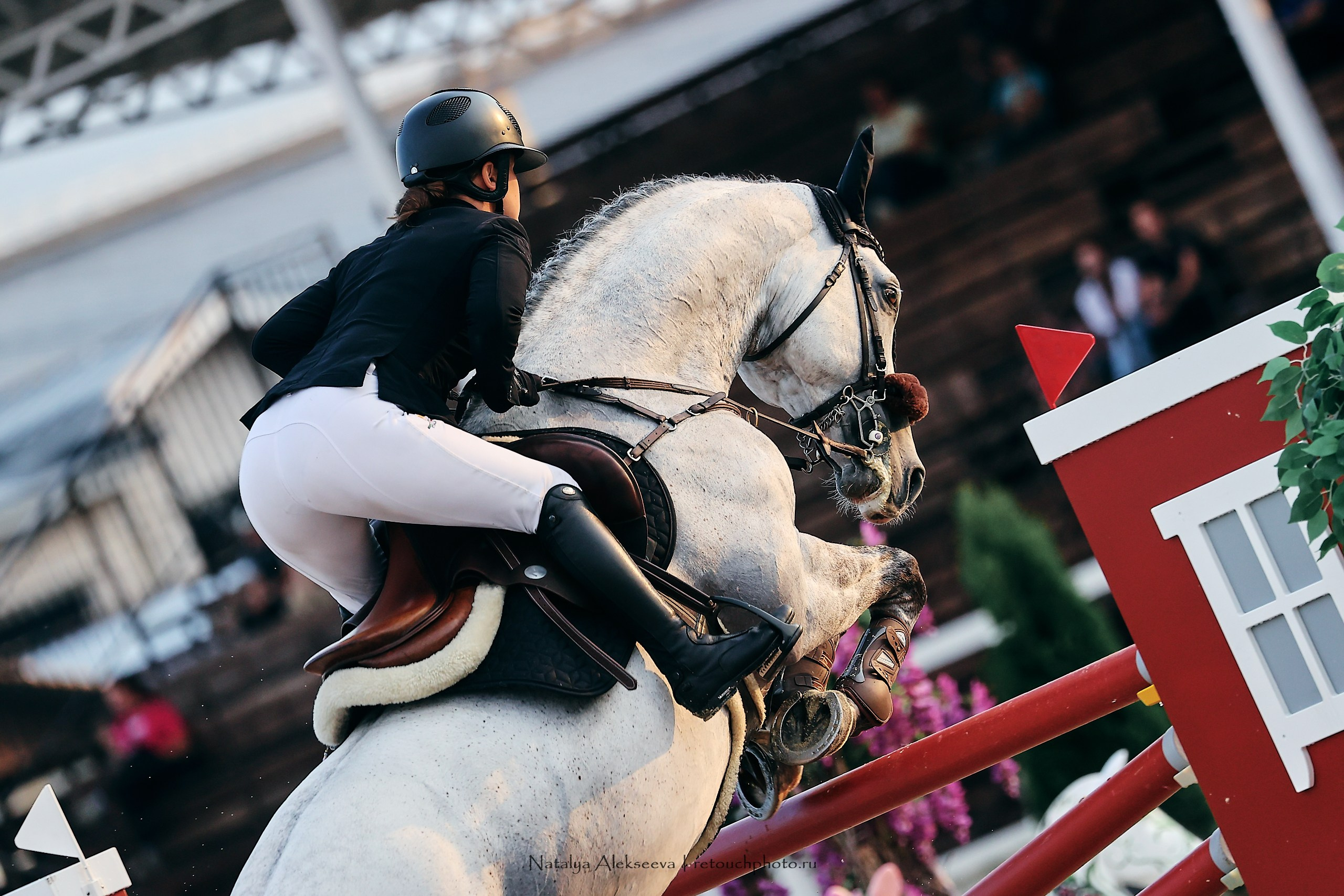 Лично-Командный ЧР по конкуру, КСК Horseka | 08'2023. Репортажный фотограф и ретушер в Москве Наталья Алексеева