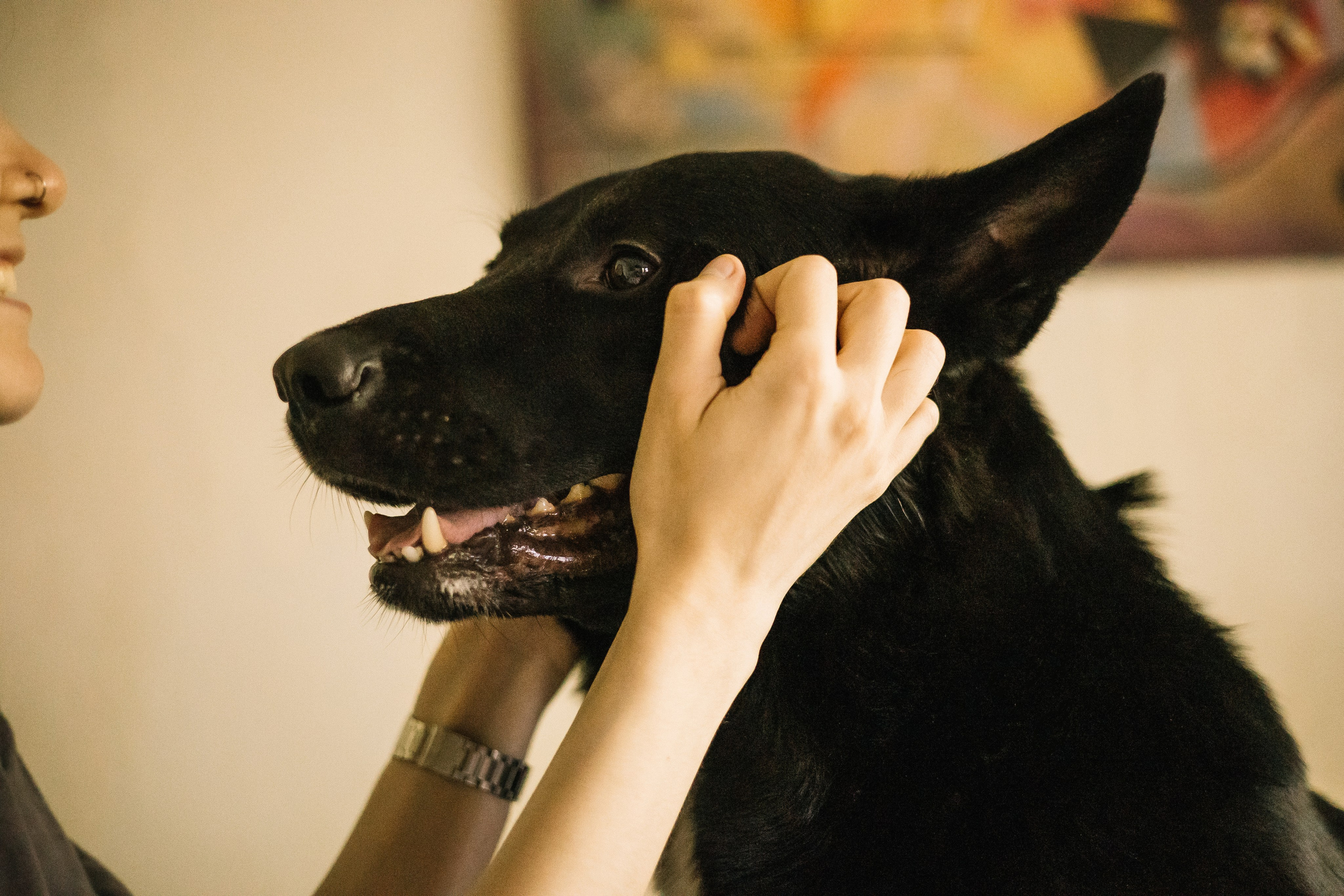 Ира и Морфей. Фотограф Анна Луценко Москва
