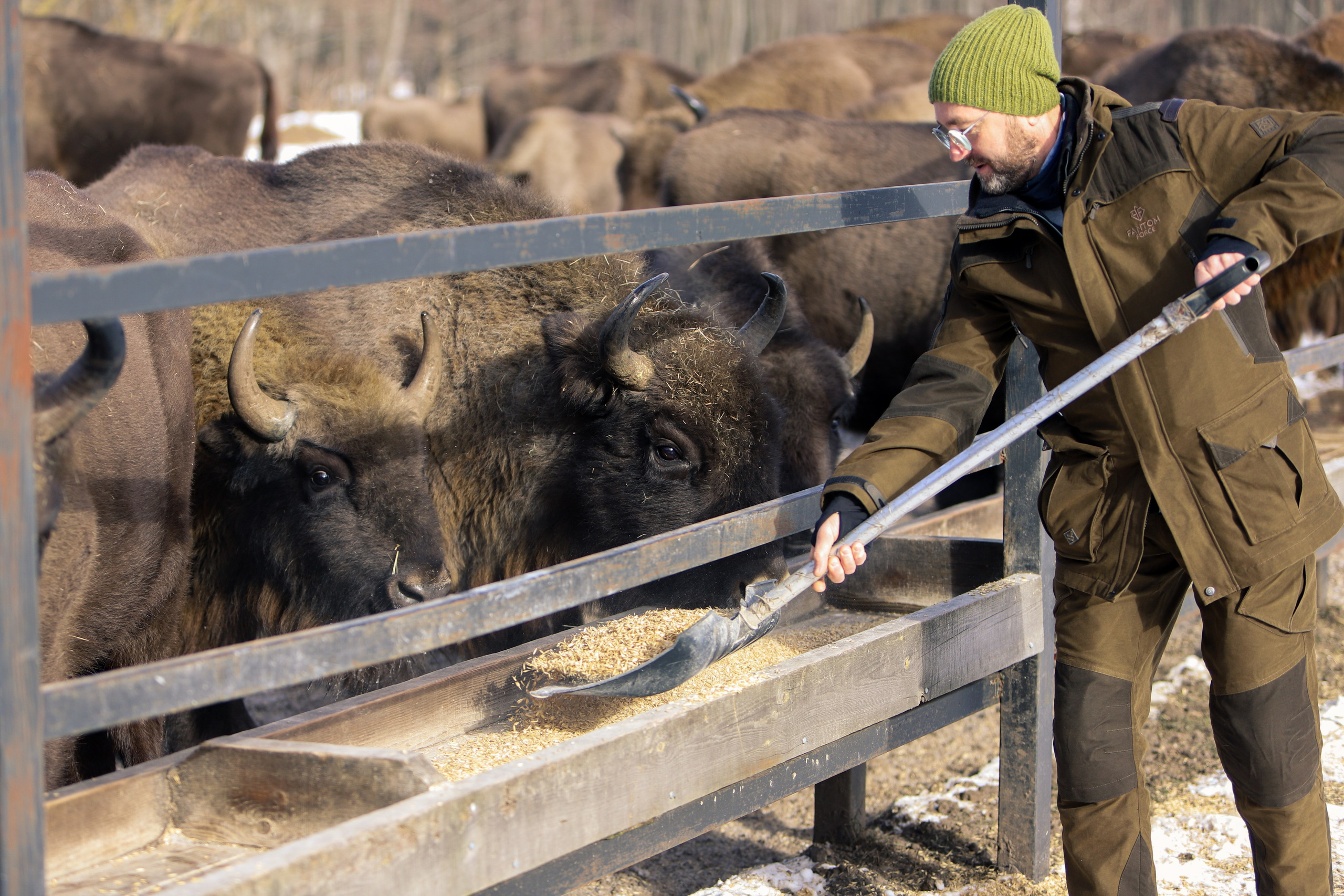 Зубров можно покормить и самим. Что и сделал Михаил - участник нашей группы