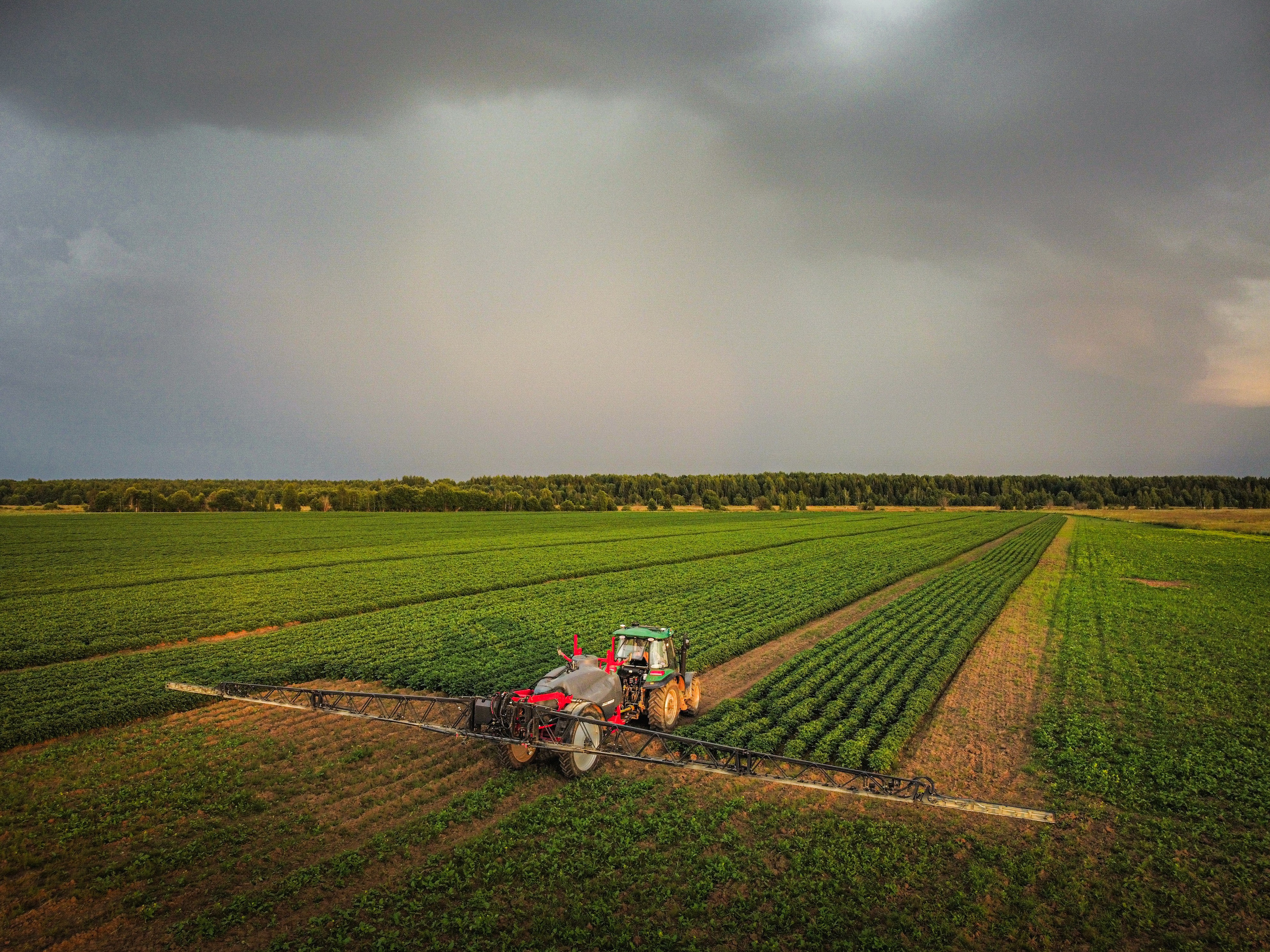 комбайны обрабатывают картофель на поле, сельское хозяйство Любимского района, Ярославской области