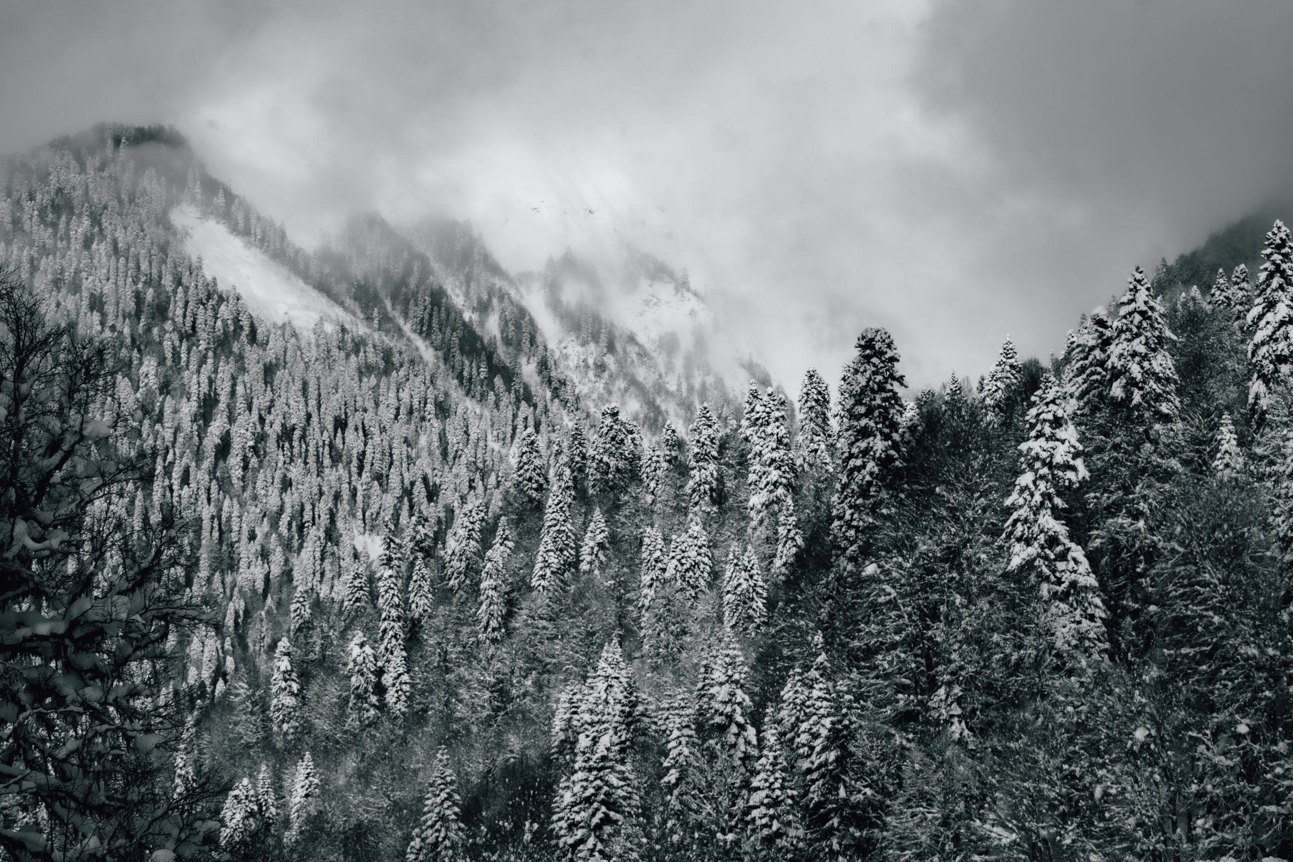 Путешествия и пейзаж. Репортажный фотограф в Красной Поляне и Сочи Павлюченко Екатерина