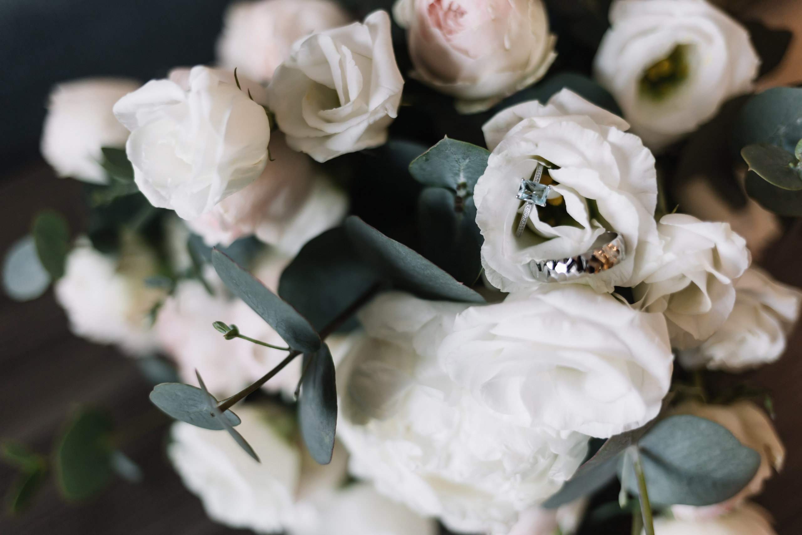 Александр и Лидия. Свадебный фотограф Наталья Молявина