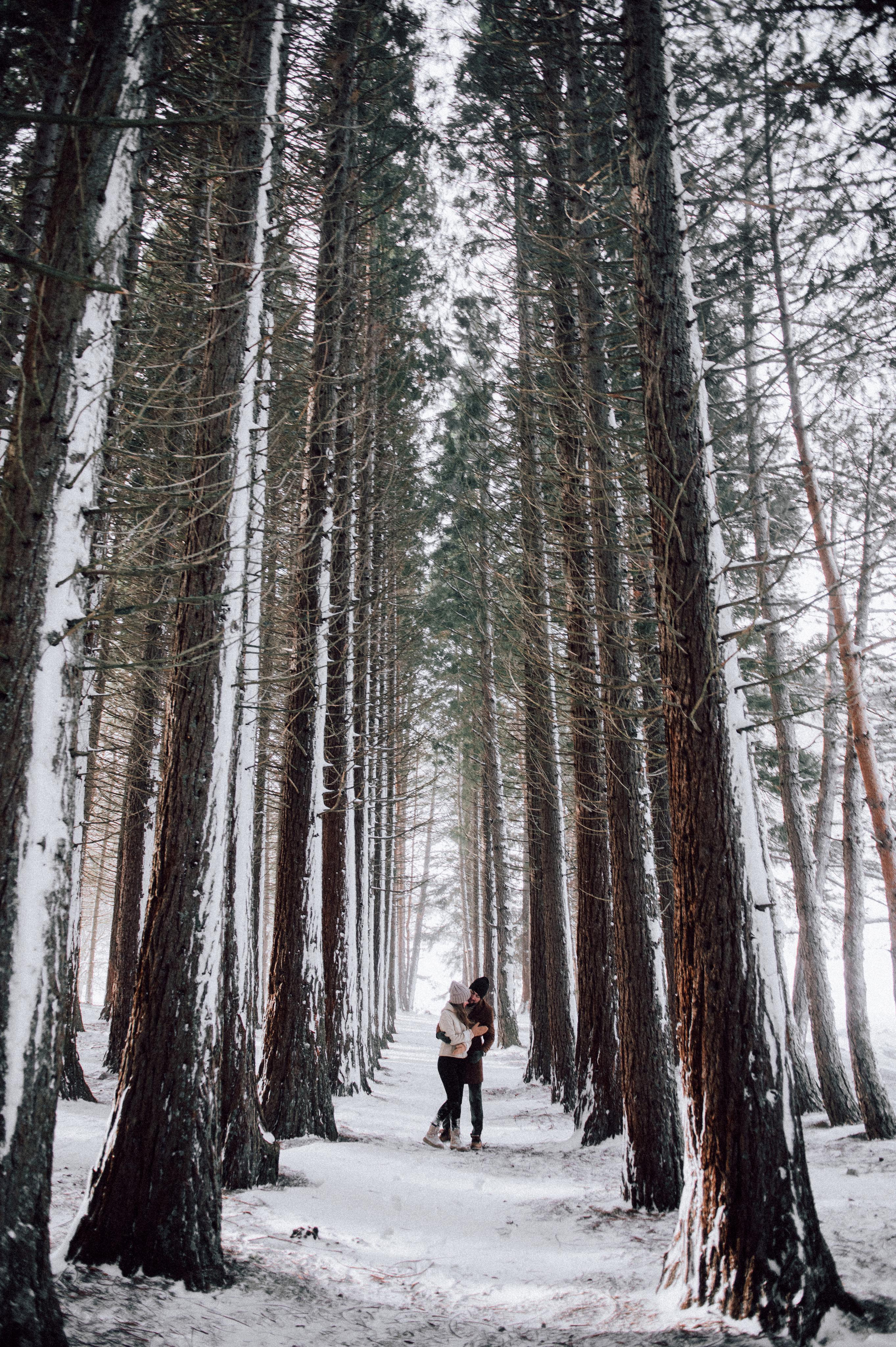 Александра и Ремзи. Портретный и свадебный фотограф в Симферополе Ирина Колесникова