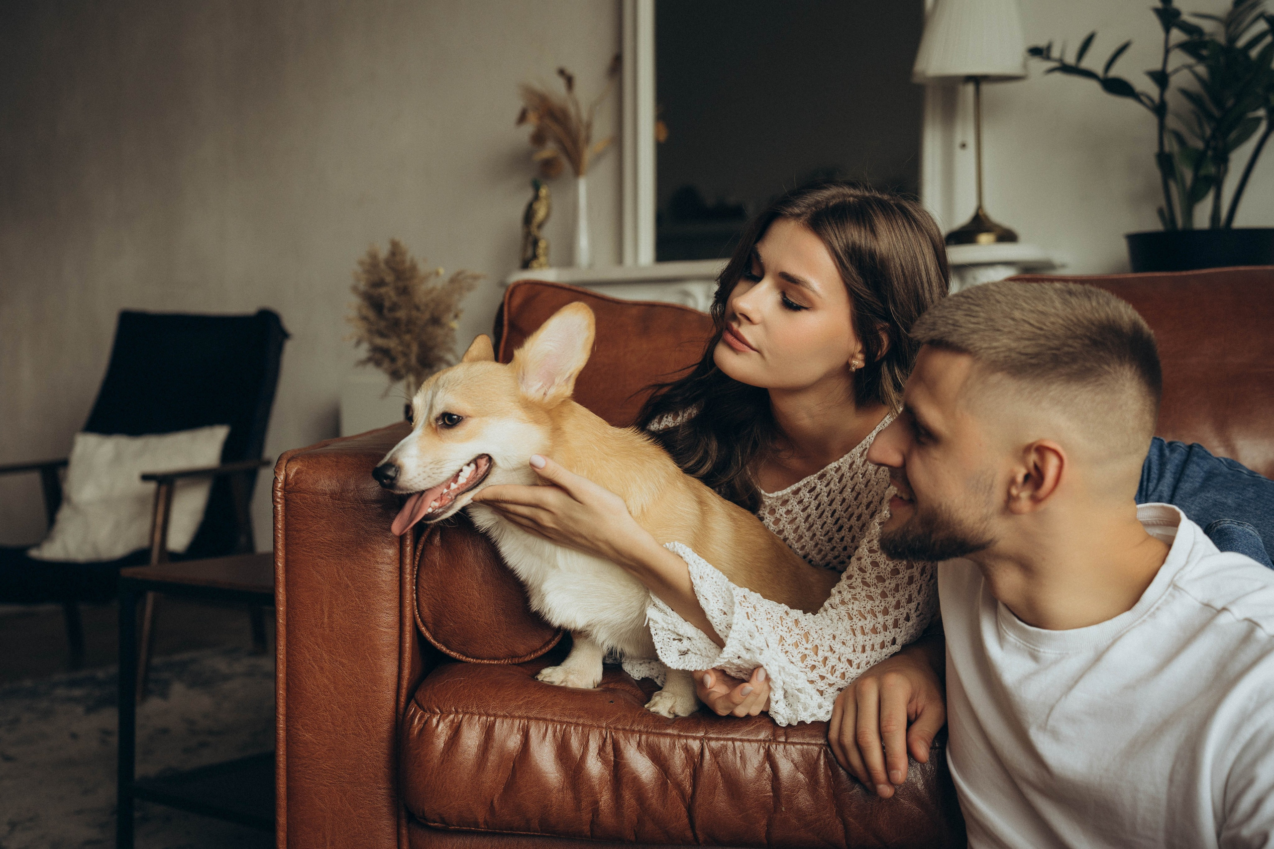 Даня, Аня и Хэппи