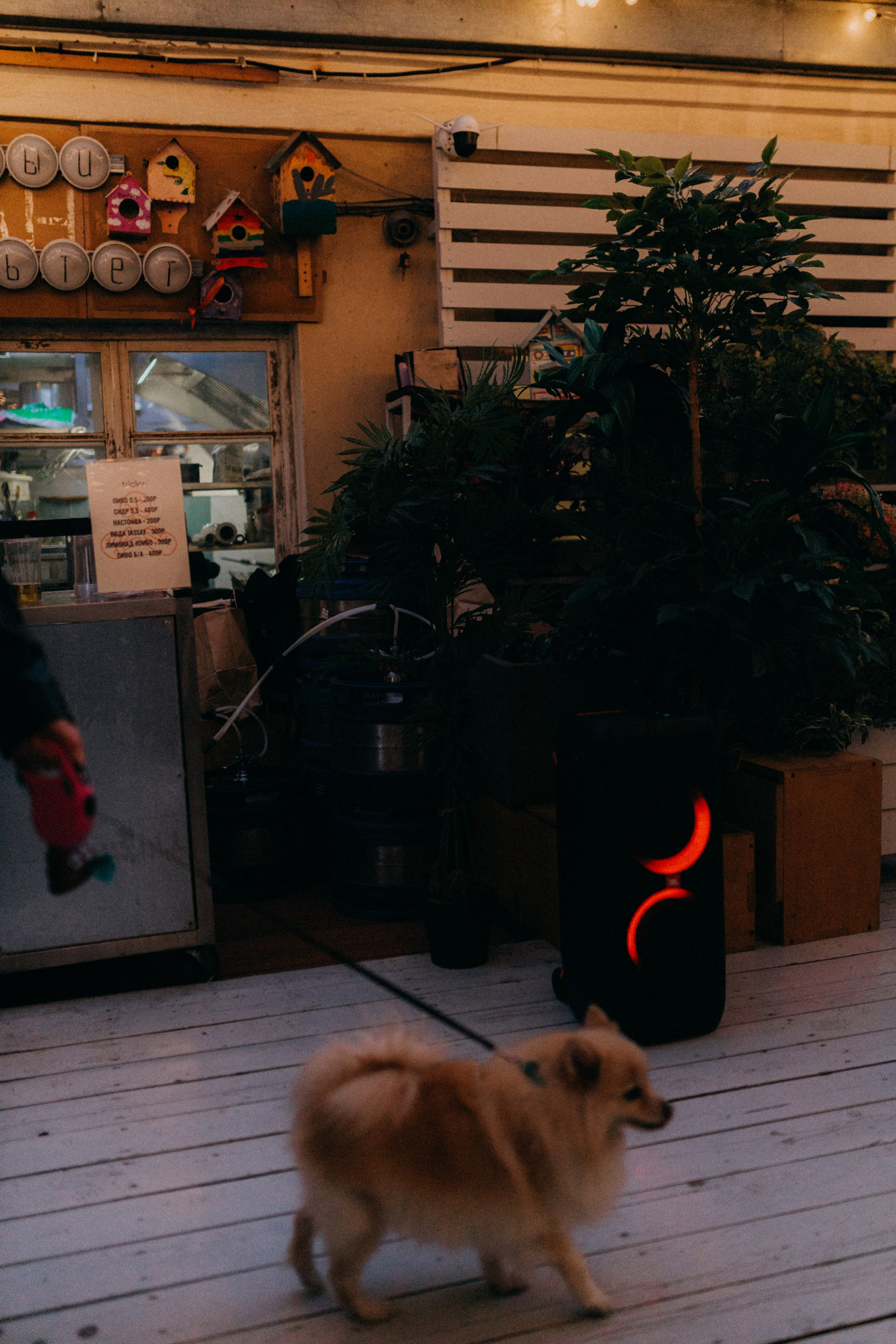 Маркет КИТЧ. Фотограф НОГИНСК, Москва, Анастасия Белая