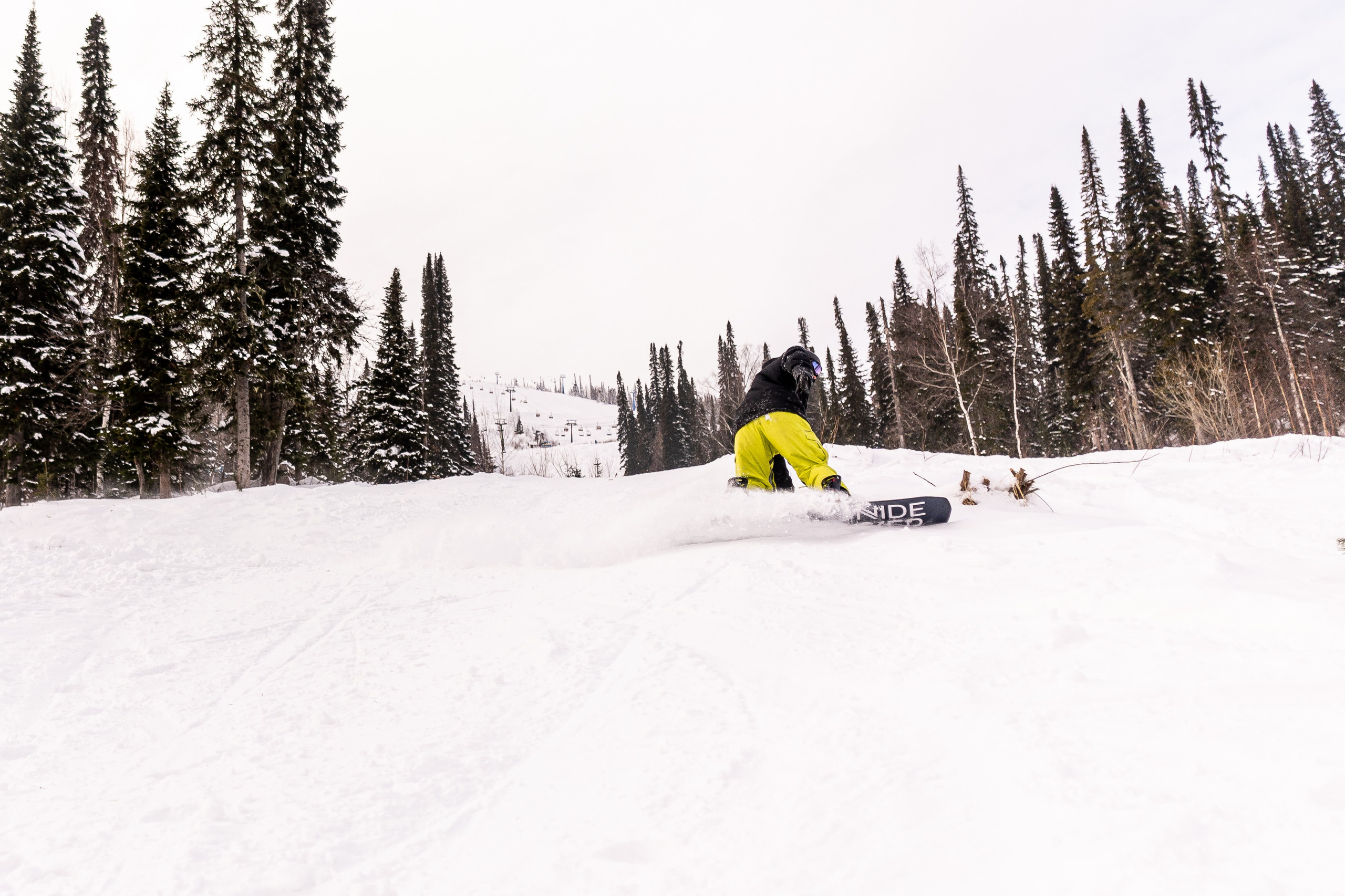 Джой 13.12. Анастасия Паршукова — фотограф Шерегеш Новосибирск