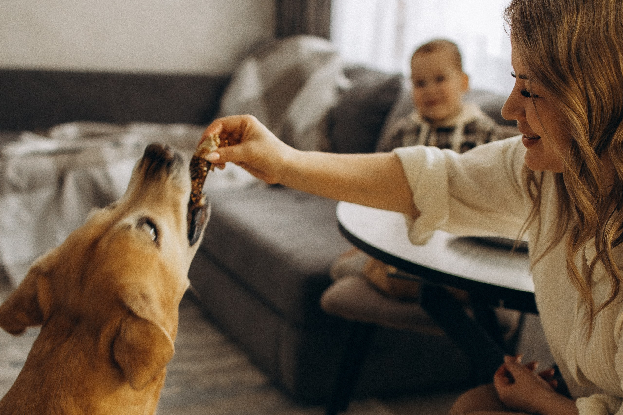 Мохнатое счастье