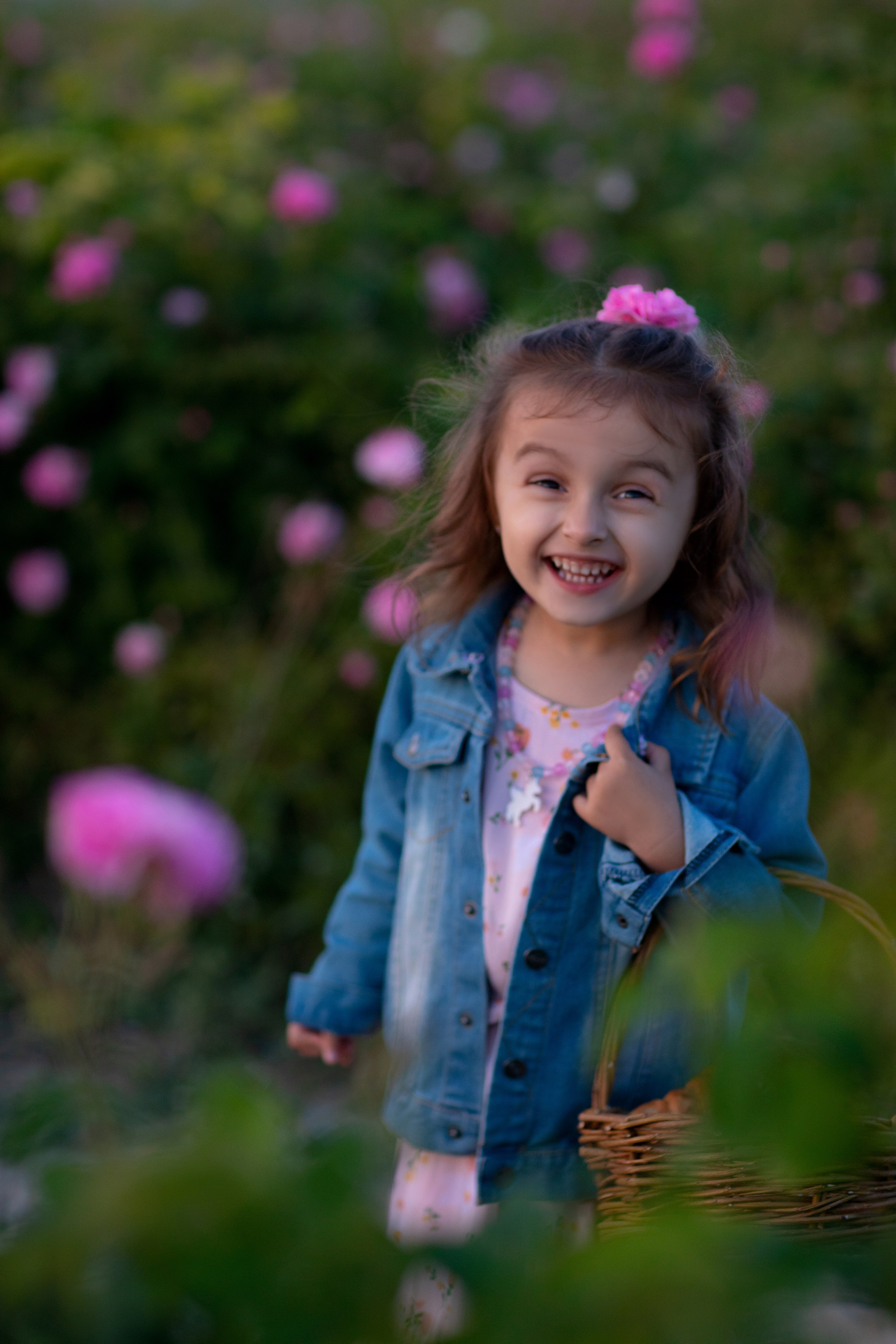 Чайная роза. Фотограф Севастополь/Крым Светлана Евтушенко