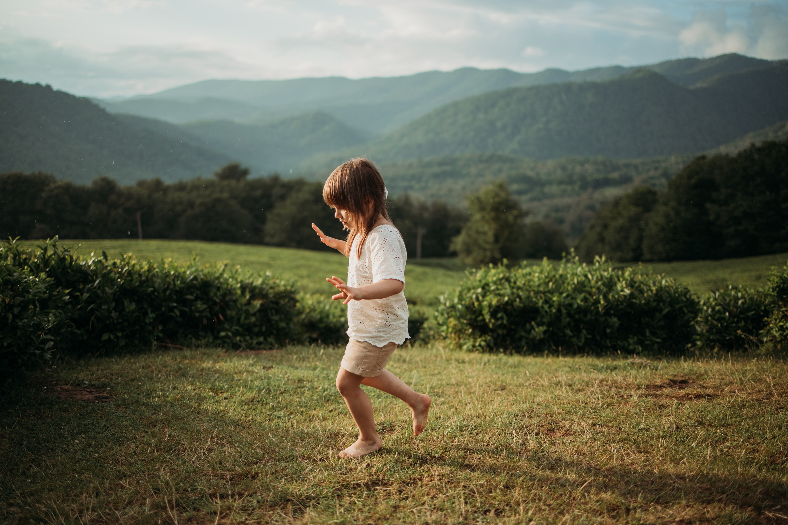 Чайные плантации мацеста. Фотограф Сочи Татьяна Зорина