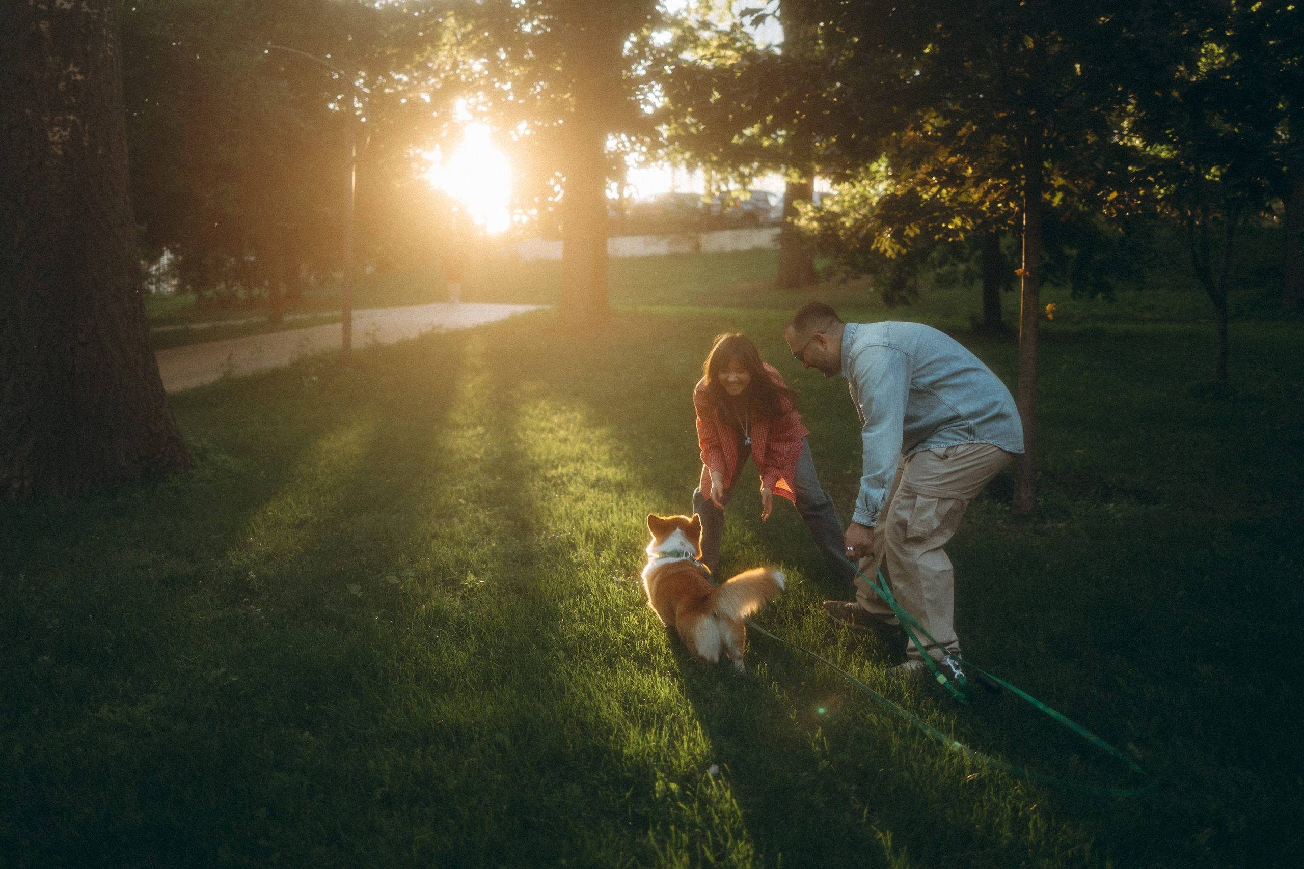 Момо, Люда и Эд. Фотограф анималист Анастасия Пикей