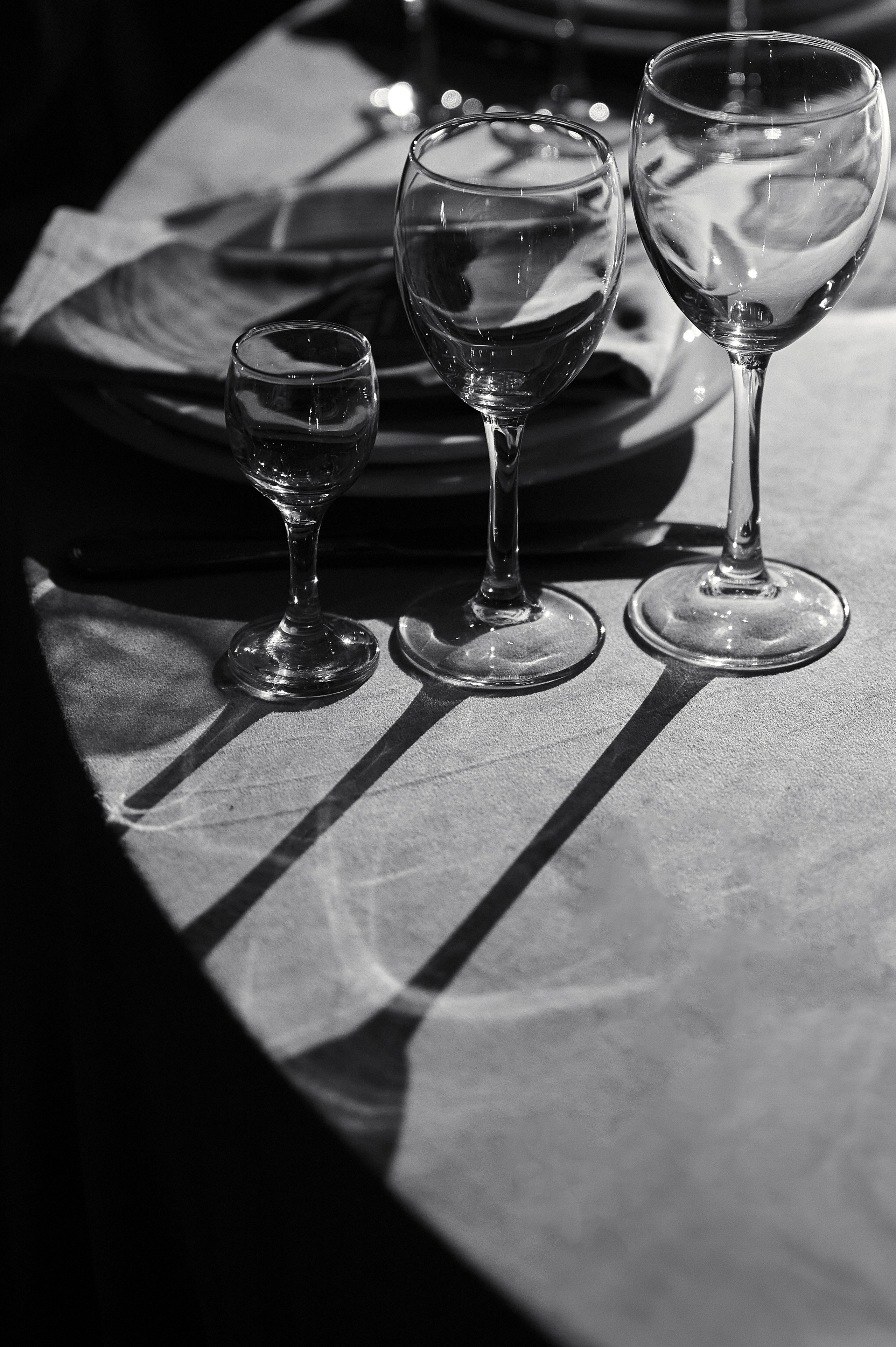 Свадебный фотограф в Брянске - фотограф на свадьбу. Свадебный и портретный фотограф в Брянске Скепская Лилия