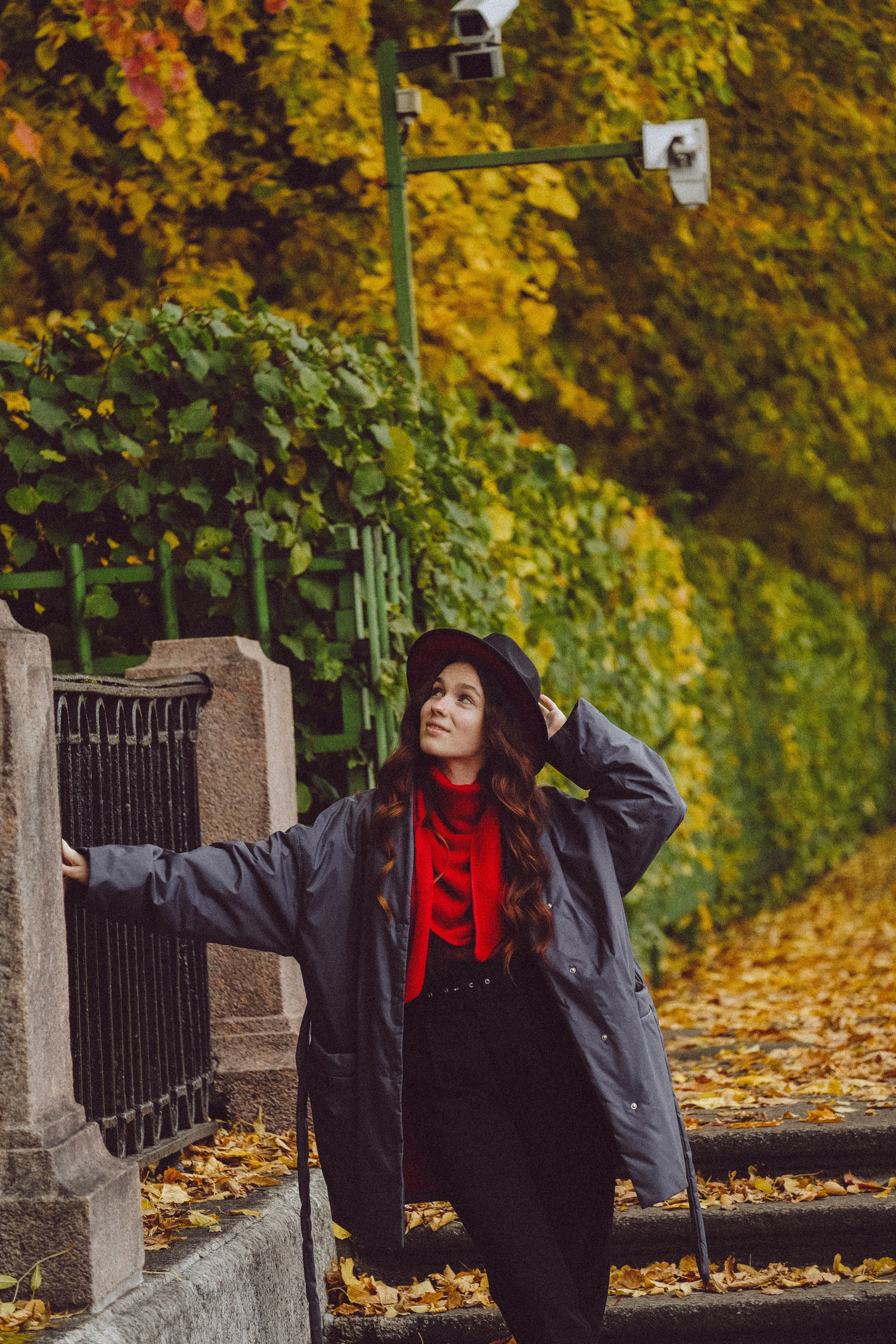 Осень. Профессиональный фотограф, Санкт-Петербург — Виктория Богомолова