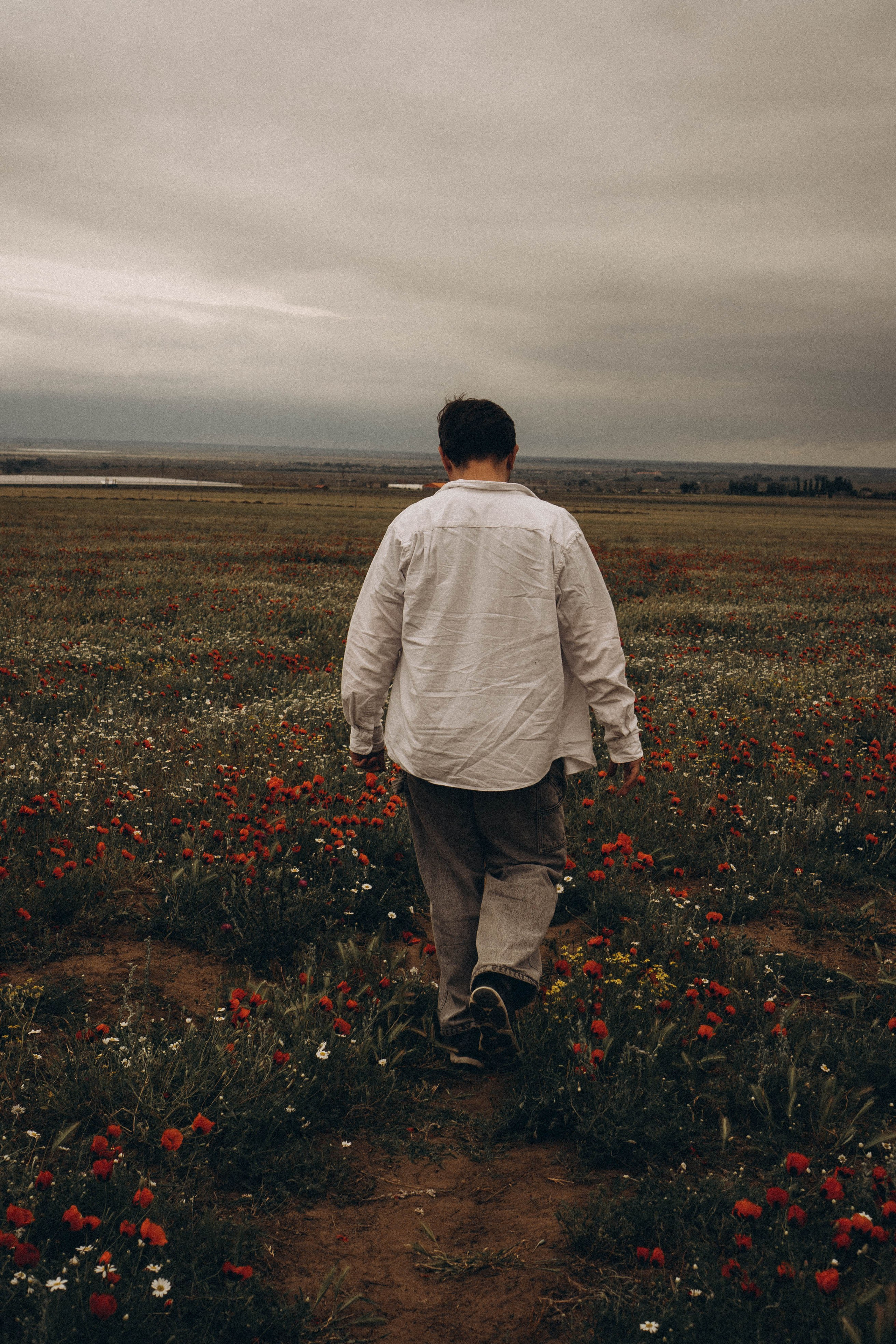 Маки. Профессиональный фотограф, Санкт-Петербург — Виктория Богомолова