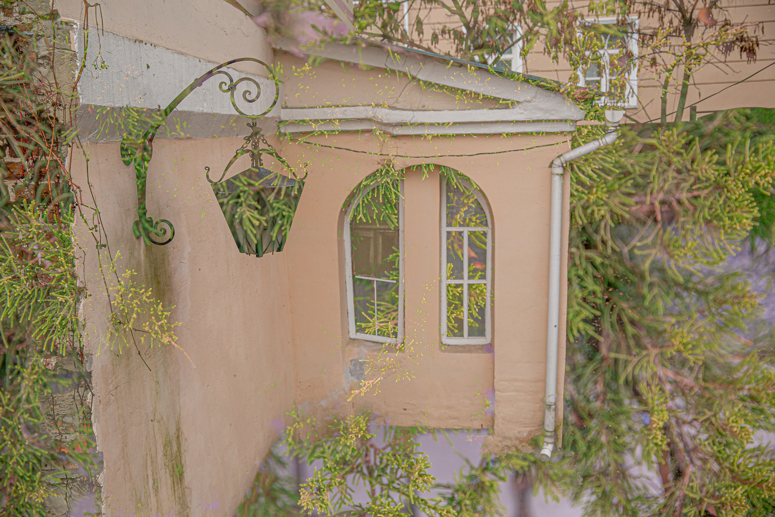 СТРОФА 4 — ПАМЯТЬ. Photographer Anna Arzamastseva