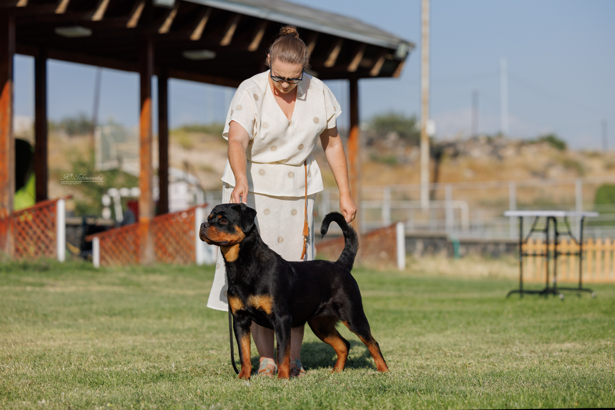 Ереван 3хCACIB 23-25.06.2025. Фотограф-анималист Юлия Германика