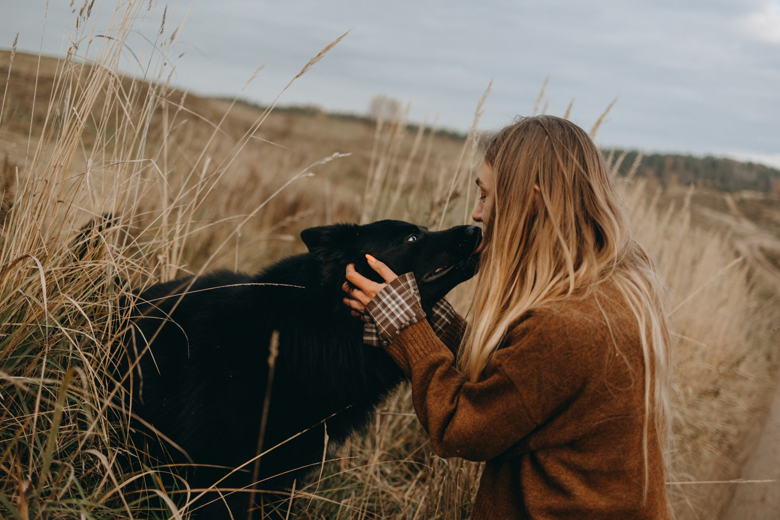 Лора и Джанго. Фотограф — Анималист | Санкт-Петербург