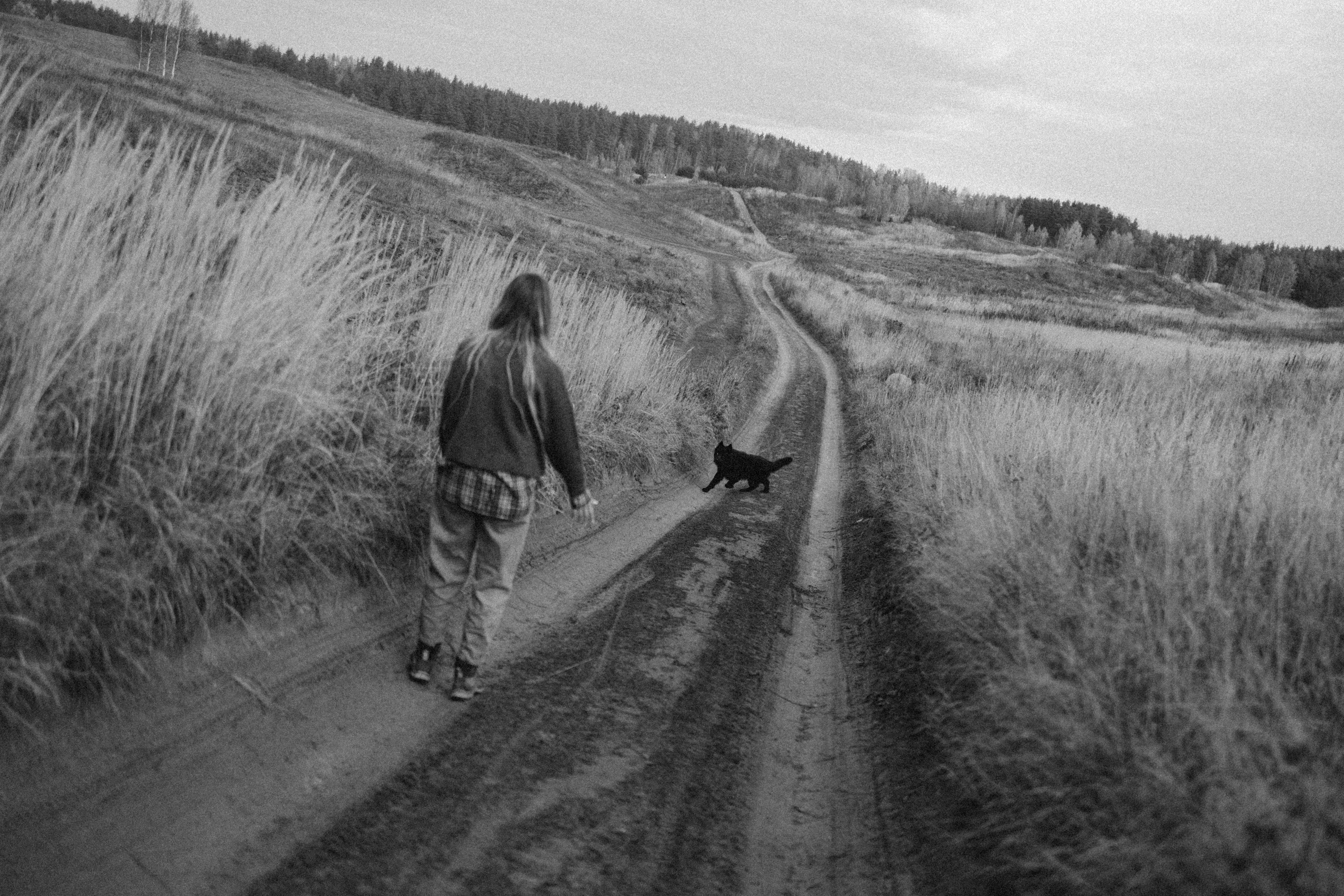 Лора и Джанго. Фотограф — Анималист | Санкт-Петербург