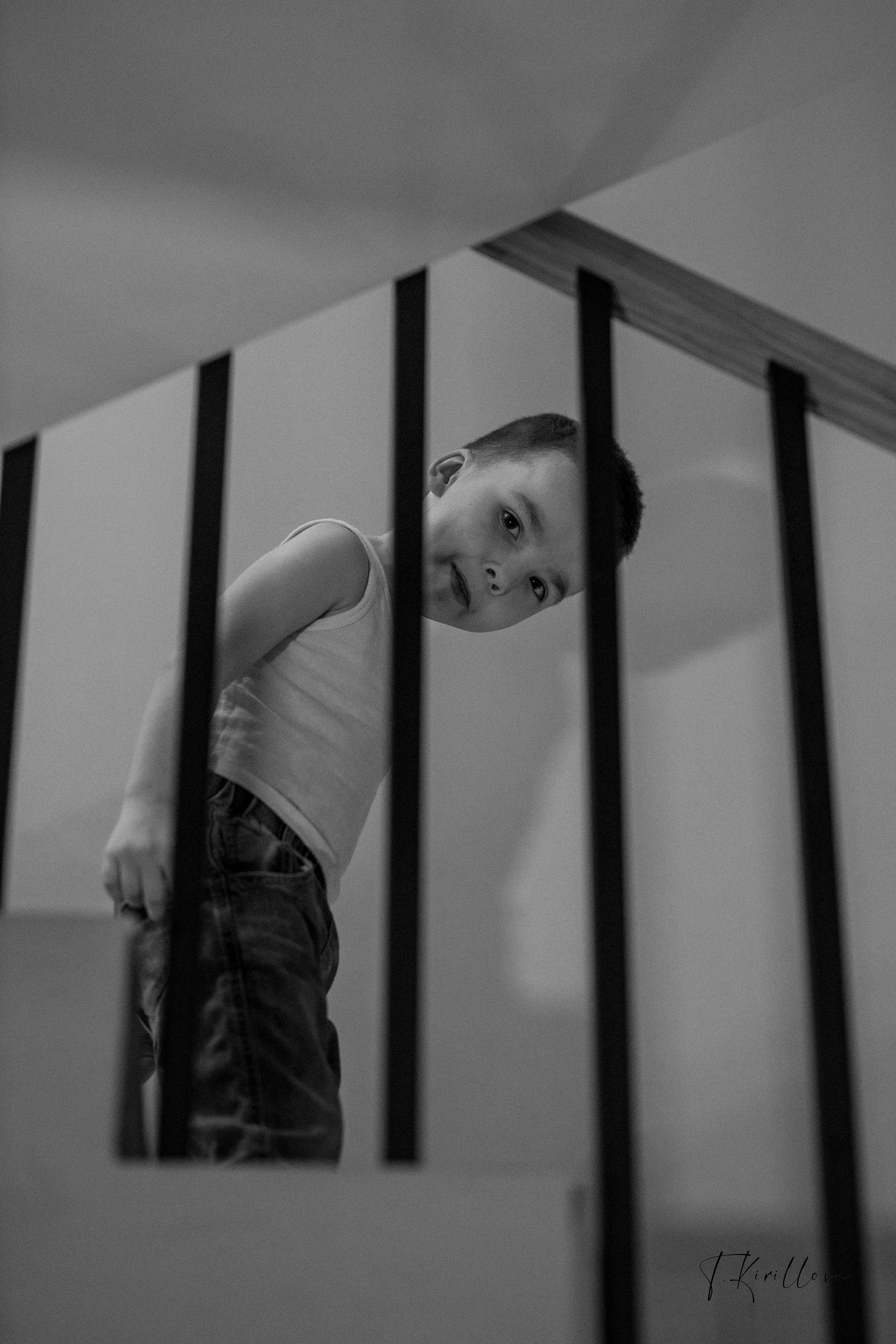 Новогоднее утро. Фотограф-анималист в Москве Кириллова Татьяна