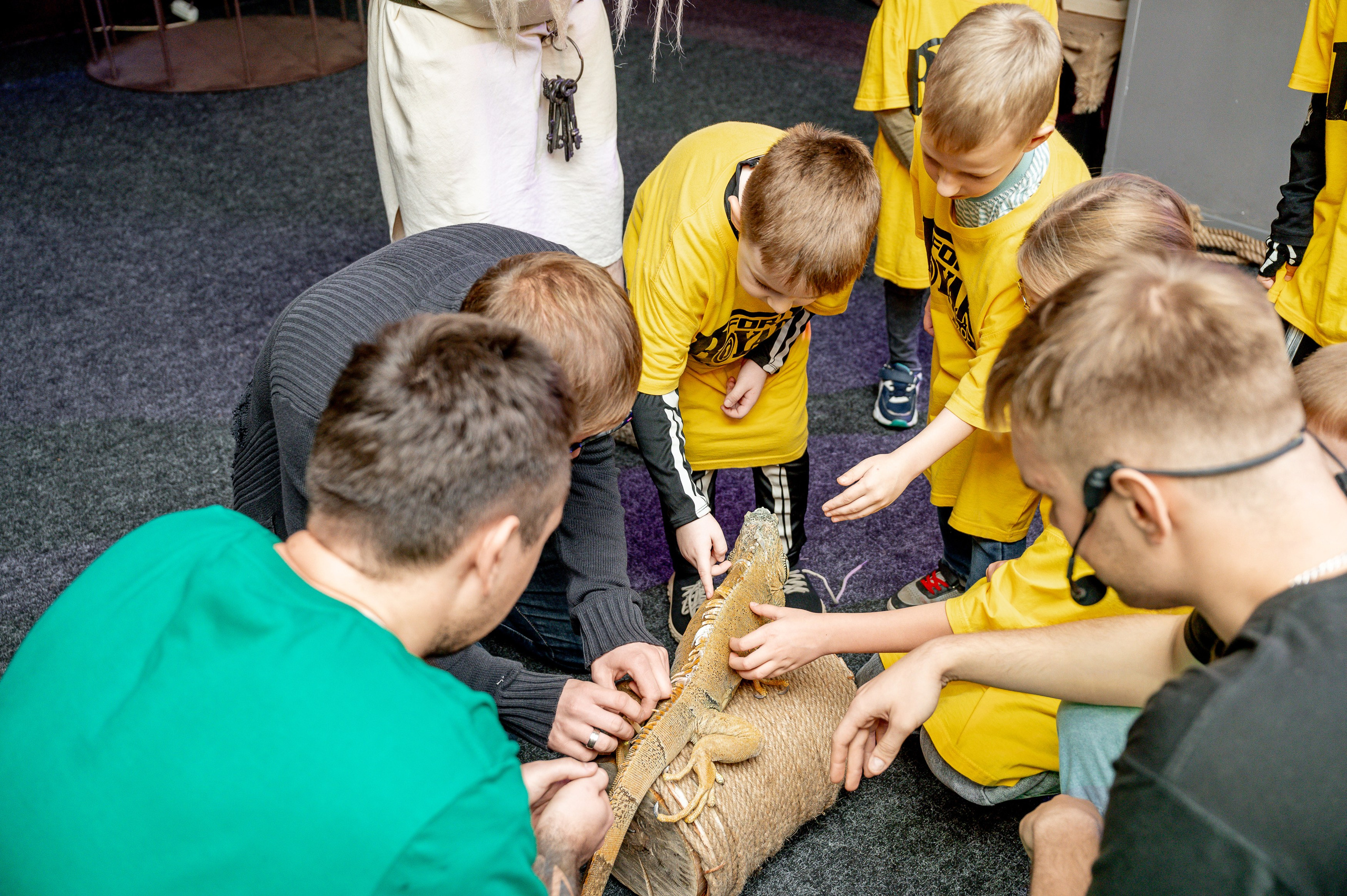 «Форд-боярд». Свадебный, семейный и репортажный фотограф. Брянск. Эльвира Голенкова