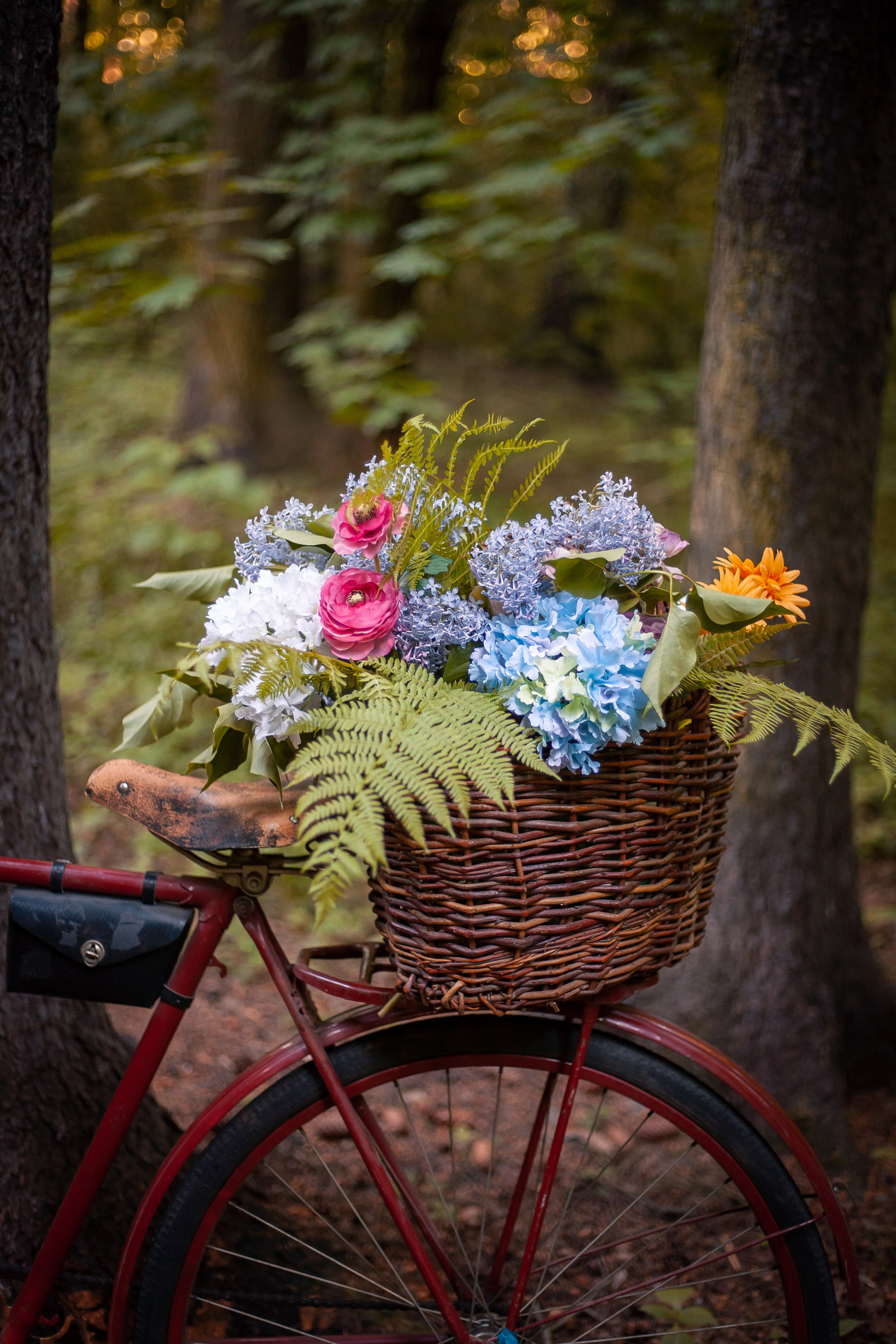 С велосипедом. Фотограф Мария Кольцова