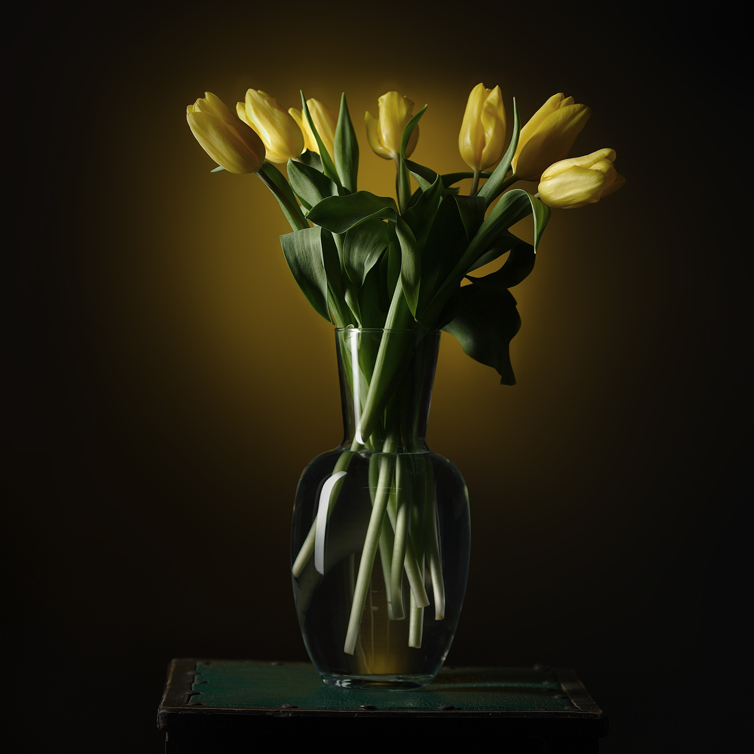 Цветы. Фотограф Мария Кольцова