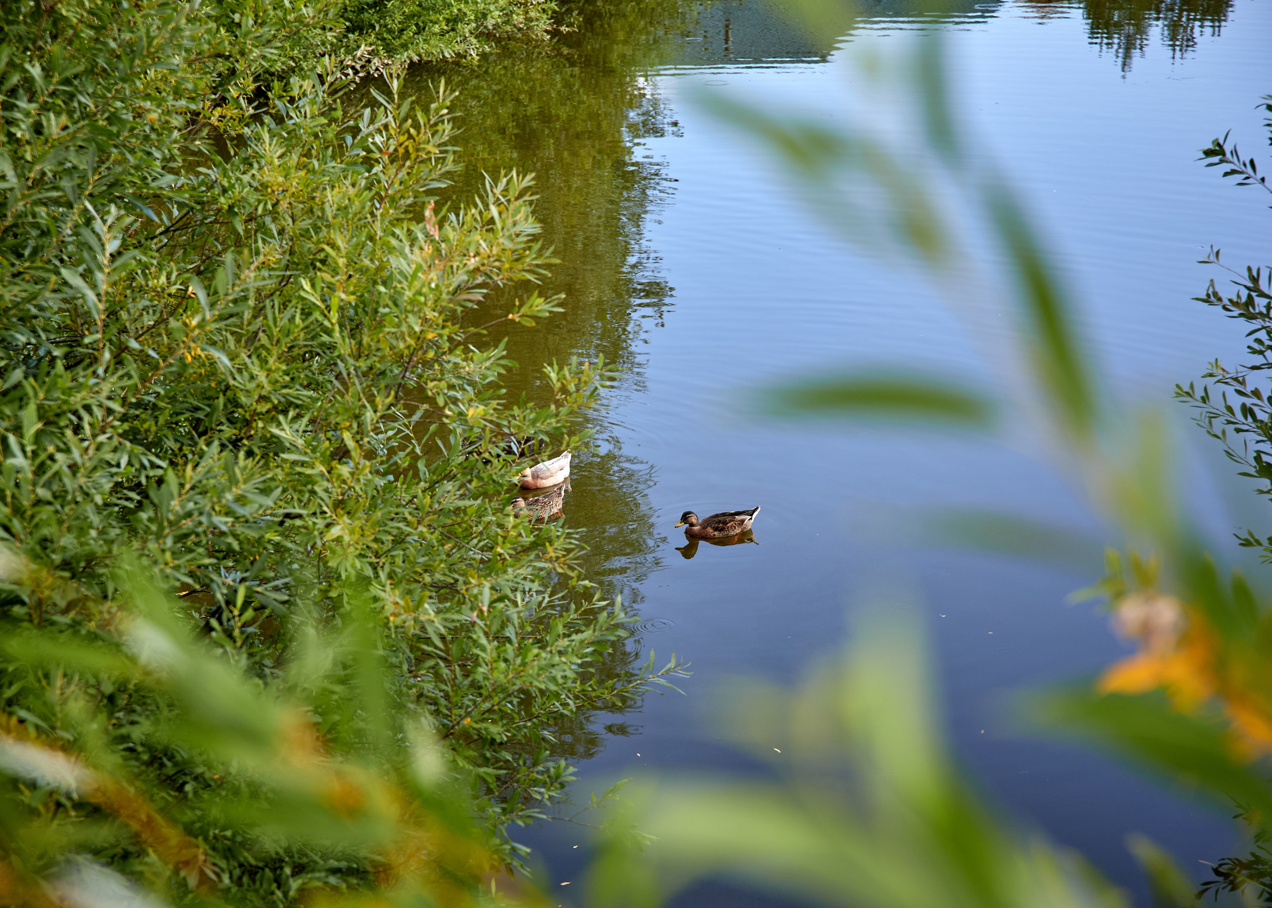 Антон и Кристина. Фотограф в Самаре Анастасия Афанасьева