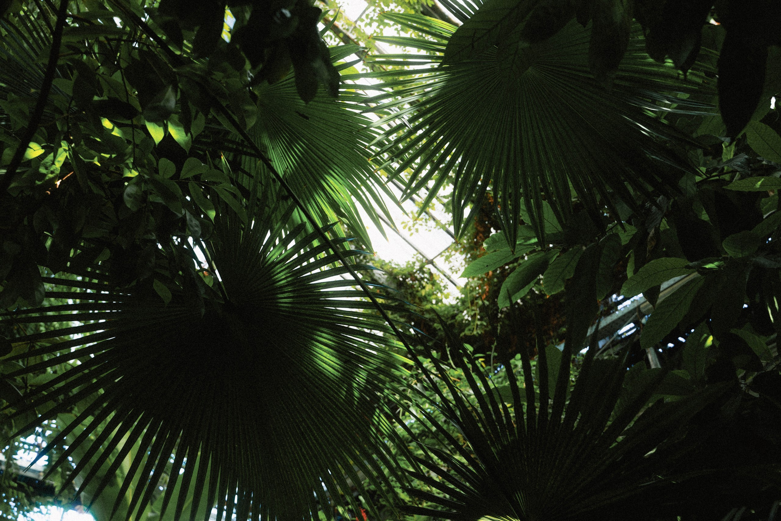 Wedding day #87. Свадебный, семейный фотограф в Рязани Лена Брант