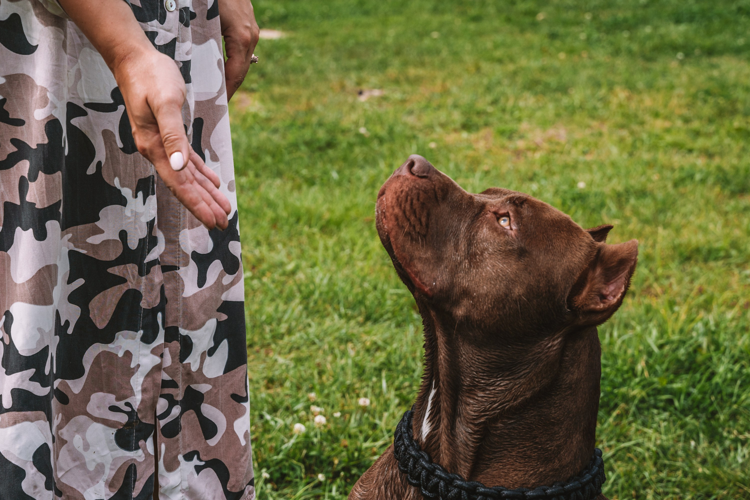 Лав стори фотограф Санкт-Петербург. Свадебный, семейный, портретный, репортажный фотограф в Санкт-Петербурге