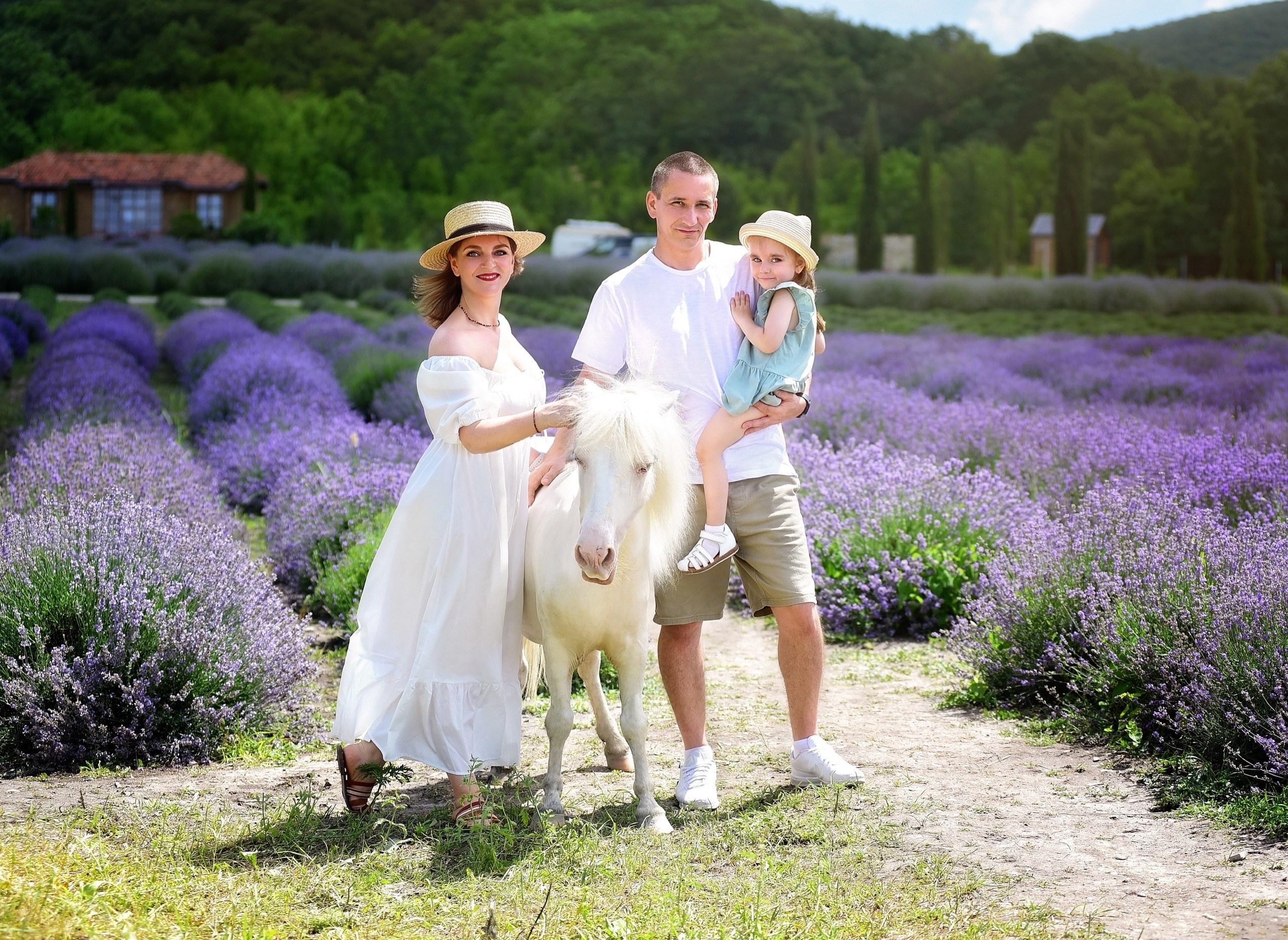 Лаванда. Главная