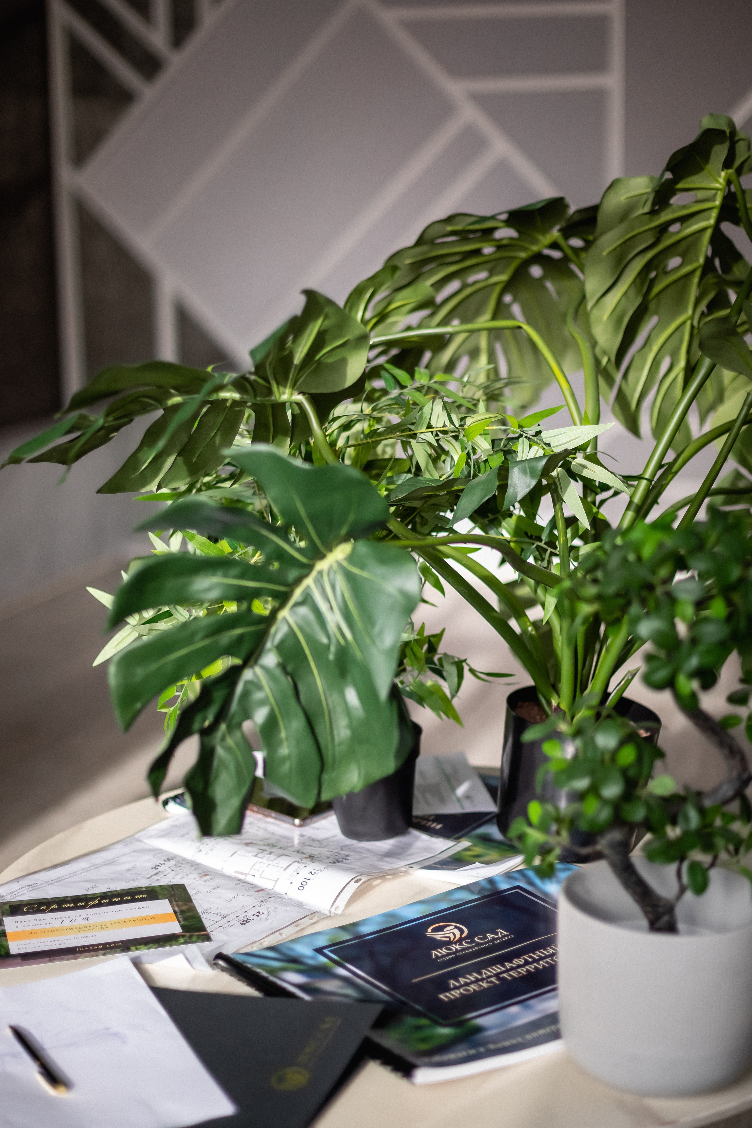 Студия ландшафтного дизайна LuxSad. Фотограф в Москве Базанова Дарья